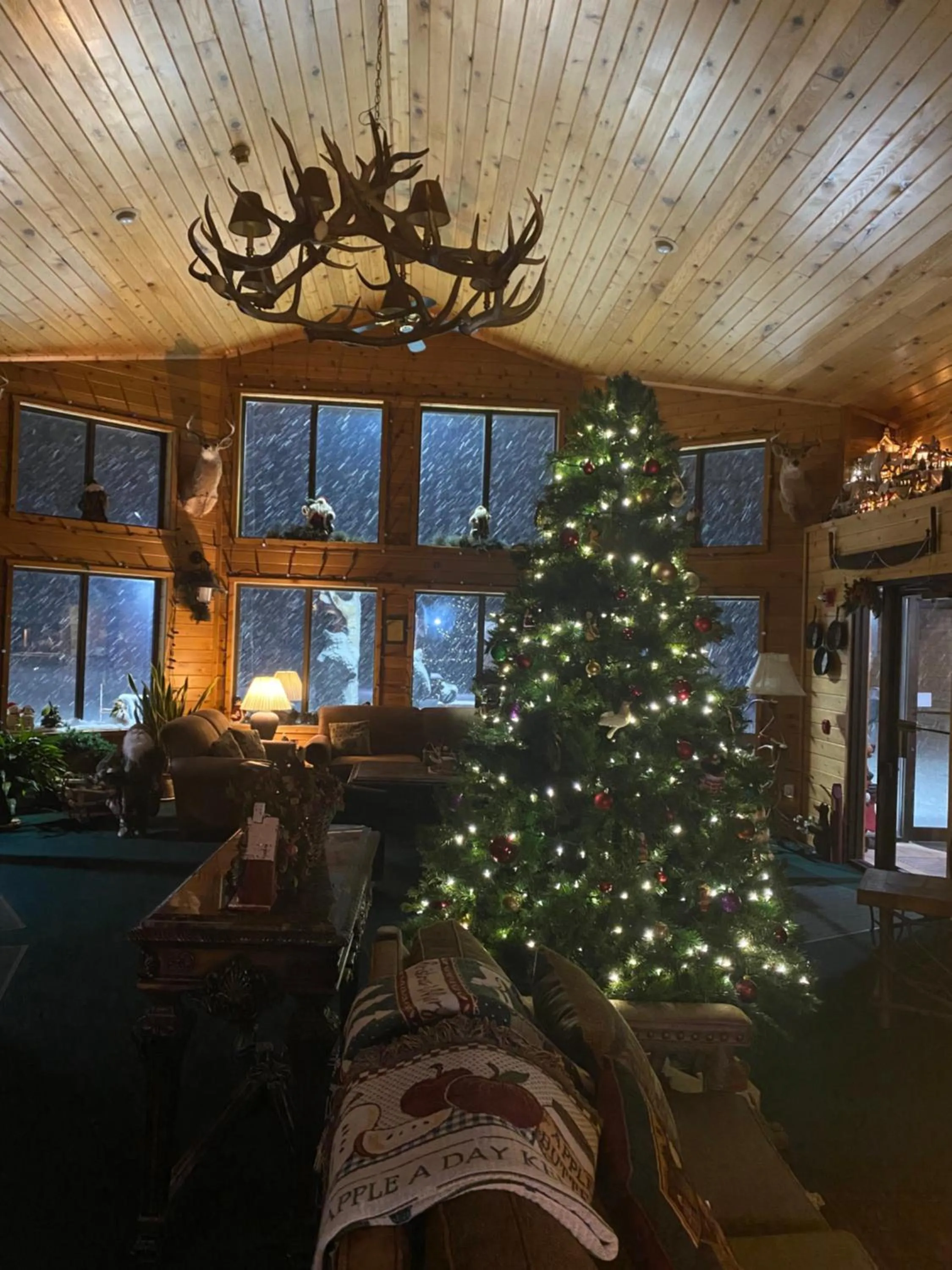 Lobby or reception in Boulder Bear Motor Lodge