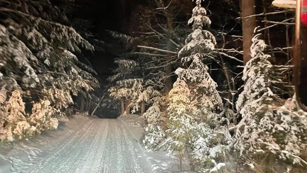 Sports in Boulder Bear Motor Lodge