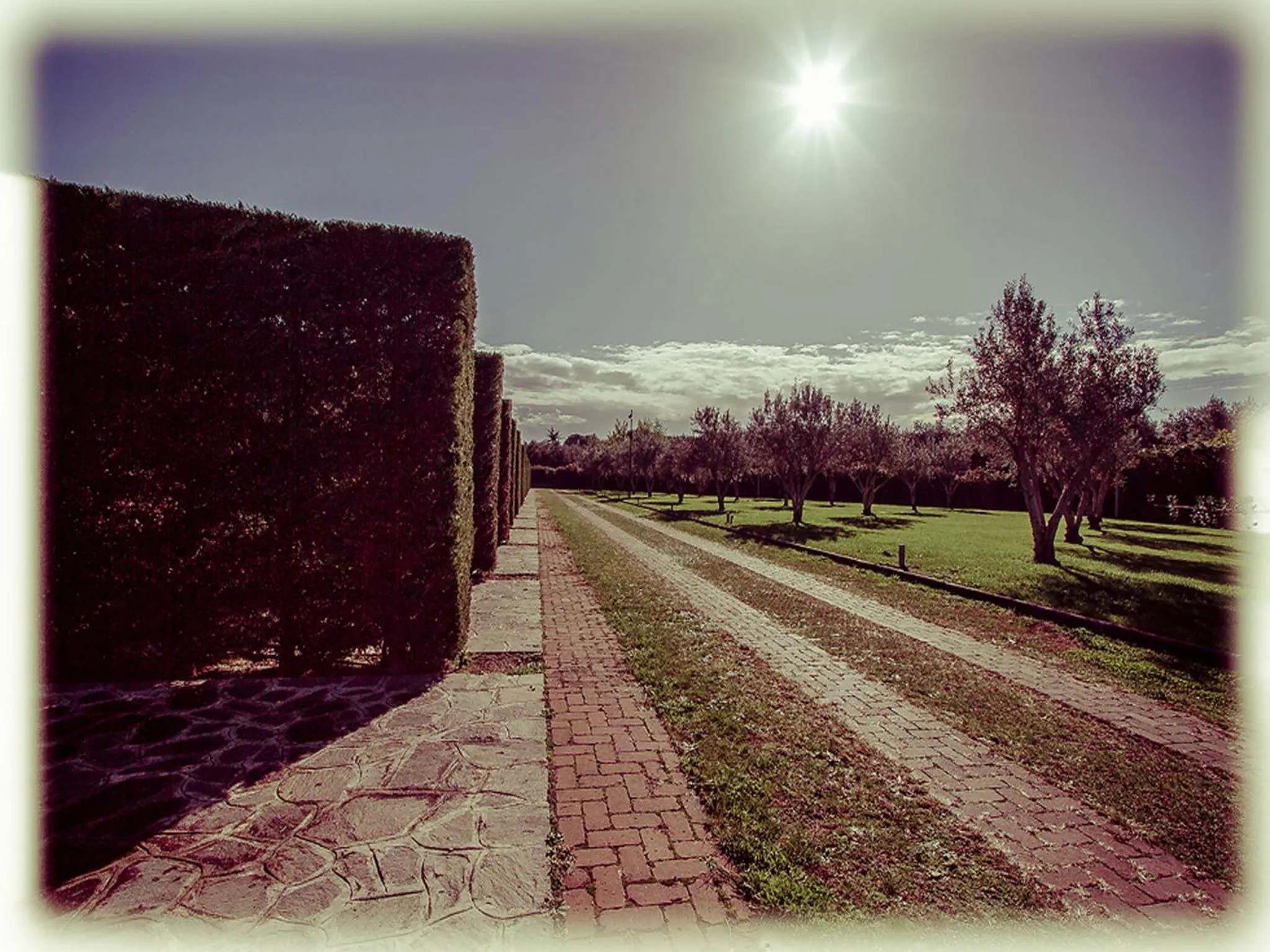 Area and facilities in All Ways Garden Hotel & Leisure