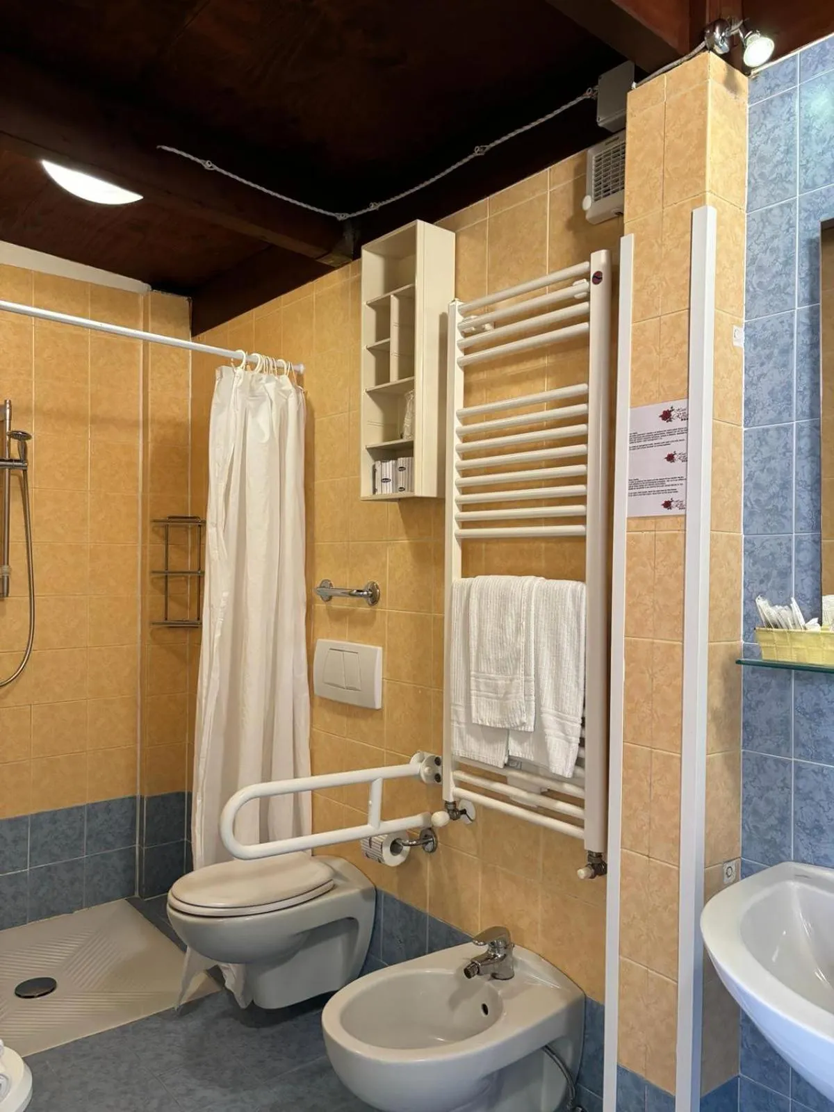 Facility for disabled guests in Hotel Delle Rose