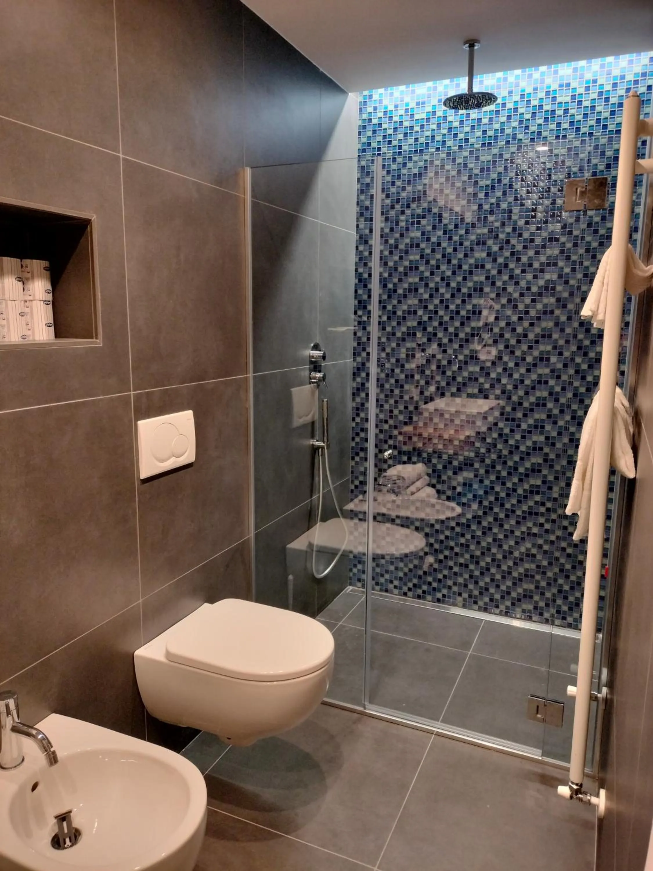 Shower in Hotel Delle Rose