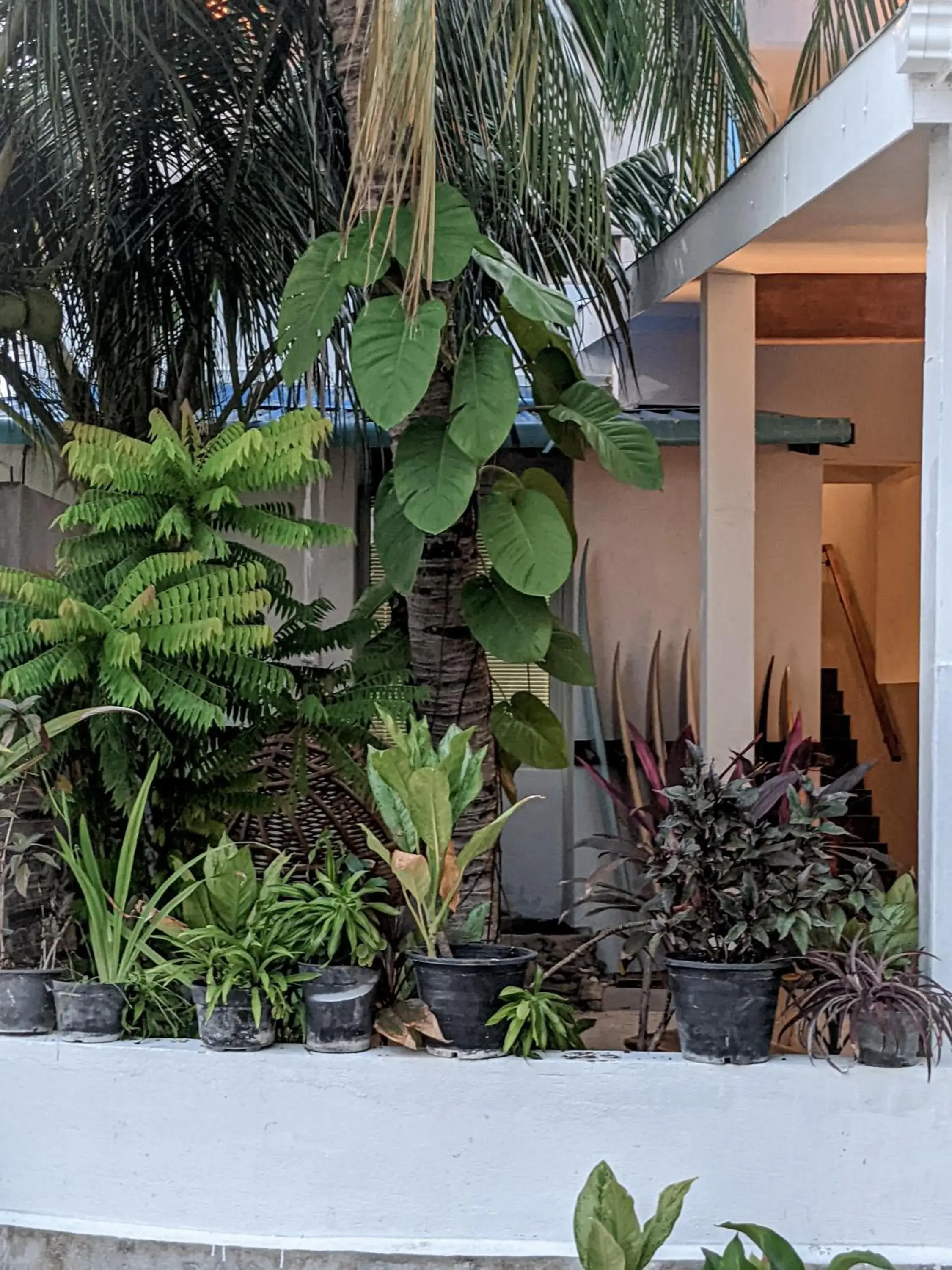 Facade/entrance in Dhoadhi Retreat Facade/entrance in Dhoadhi Retreat