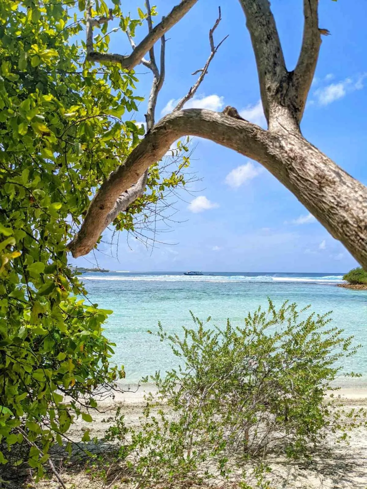 Beach in Dhoadhi Retreat