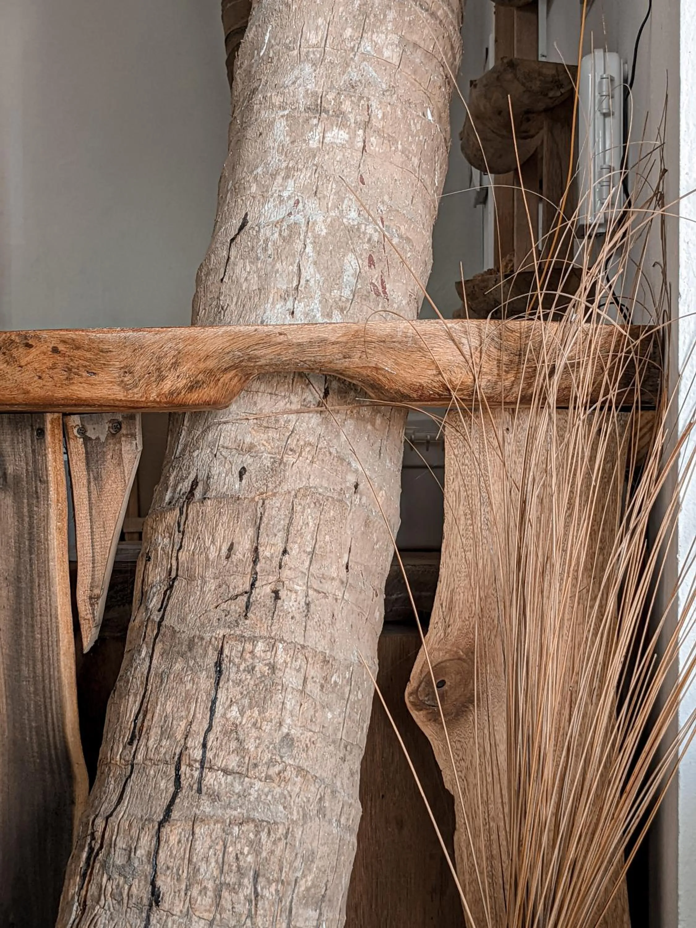 Lobby or reception in Dhoadhi Retreat