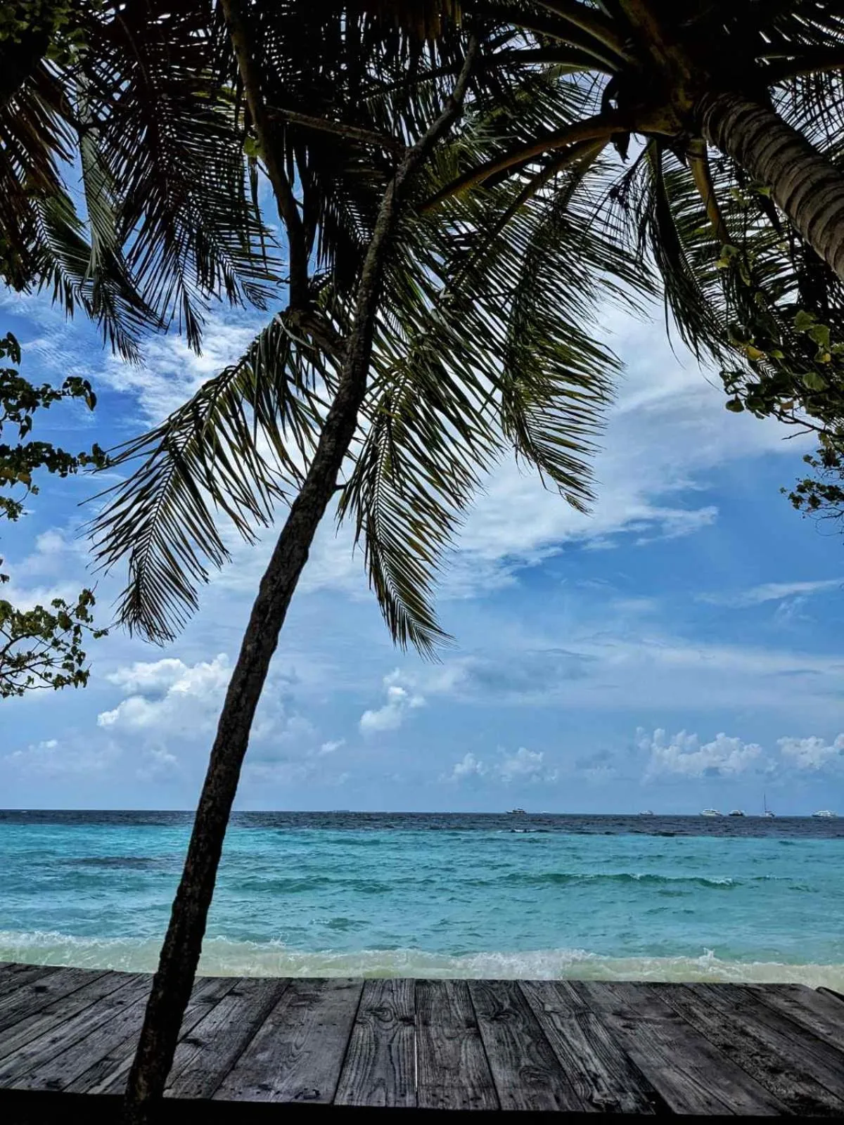 Natural landscape in Dhoadhi Retreat