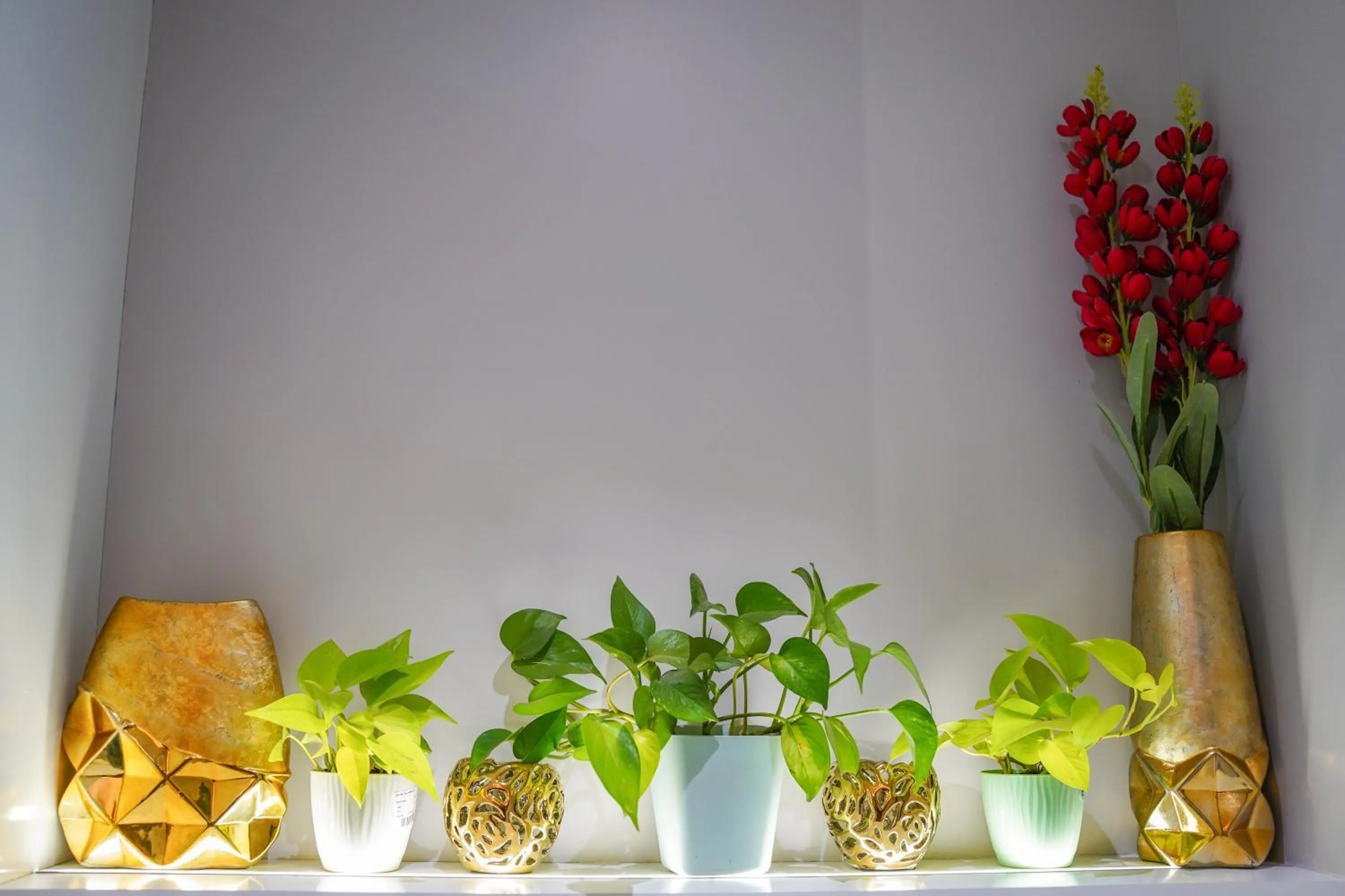 Decorative detail in VIRASAT RESORT