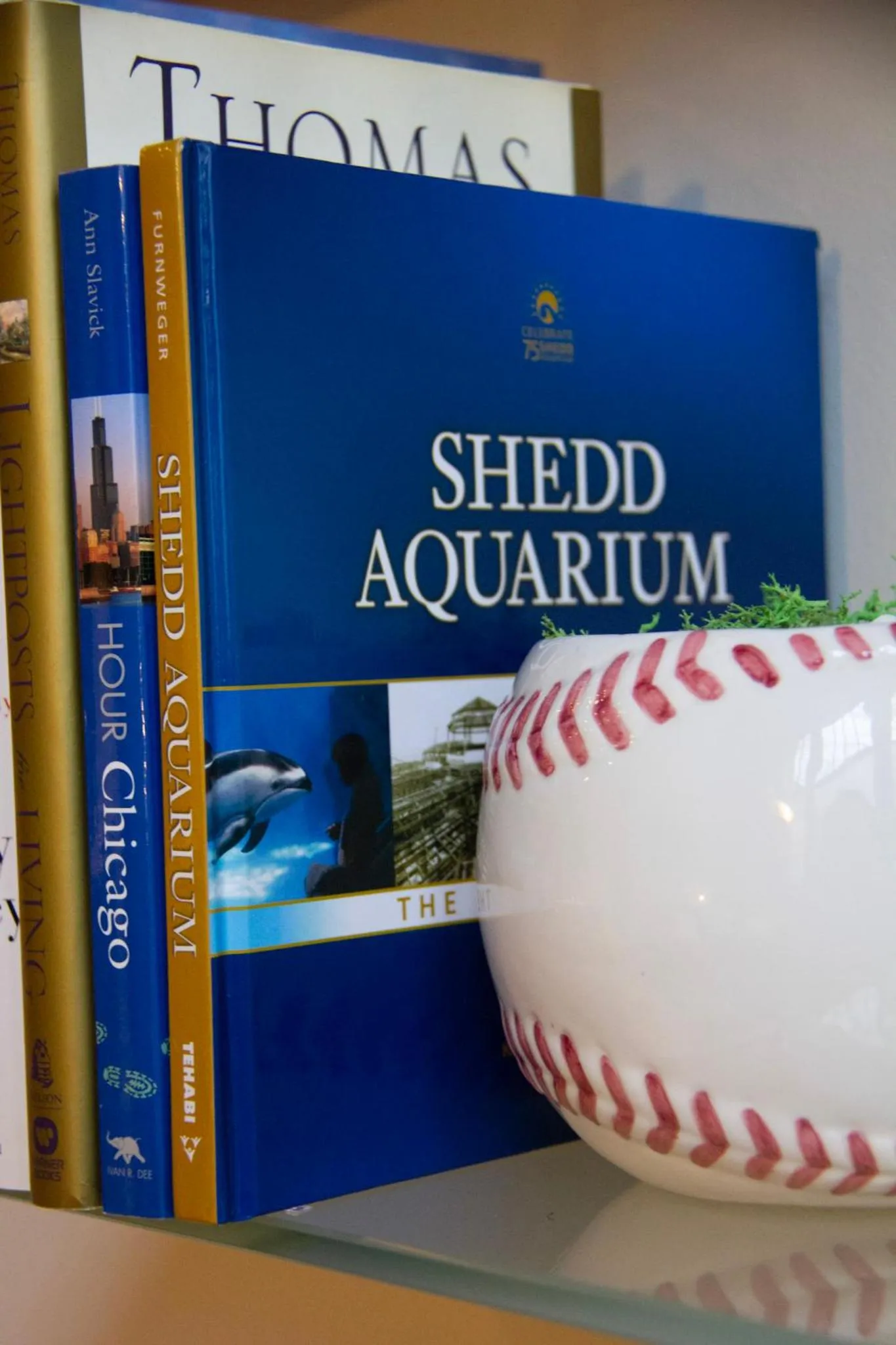 Decorative detail in Luxéry Stay Chicago - Themed Units! Close to Downtown, McCormick Place & Wintrust Arena