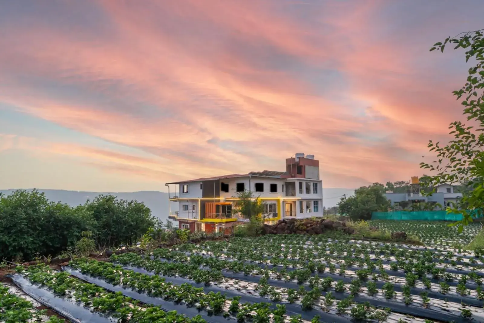 Property building in Strawberry King Resort Property building in Strawberry King Resort
