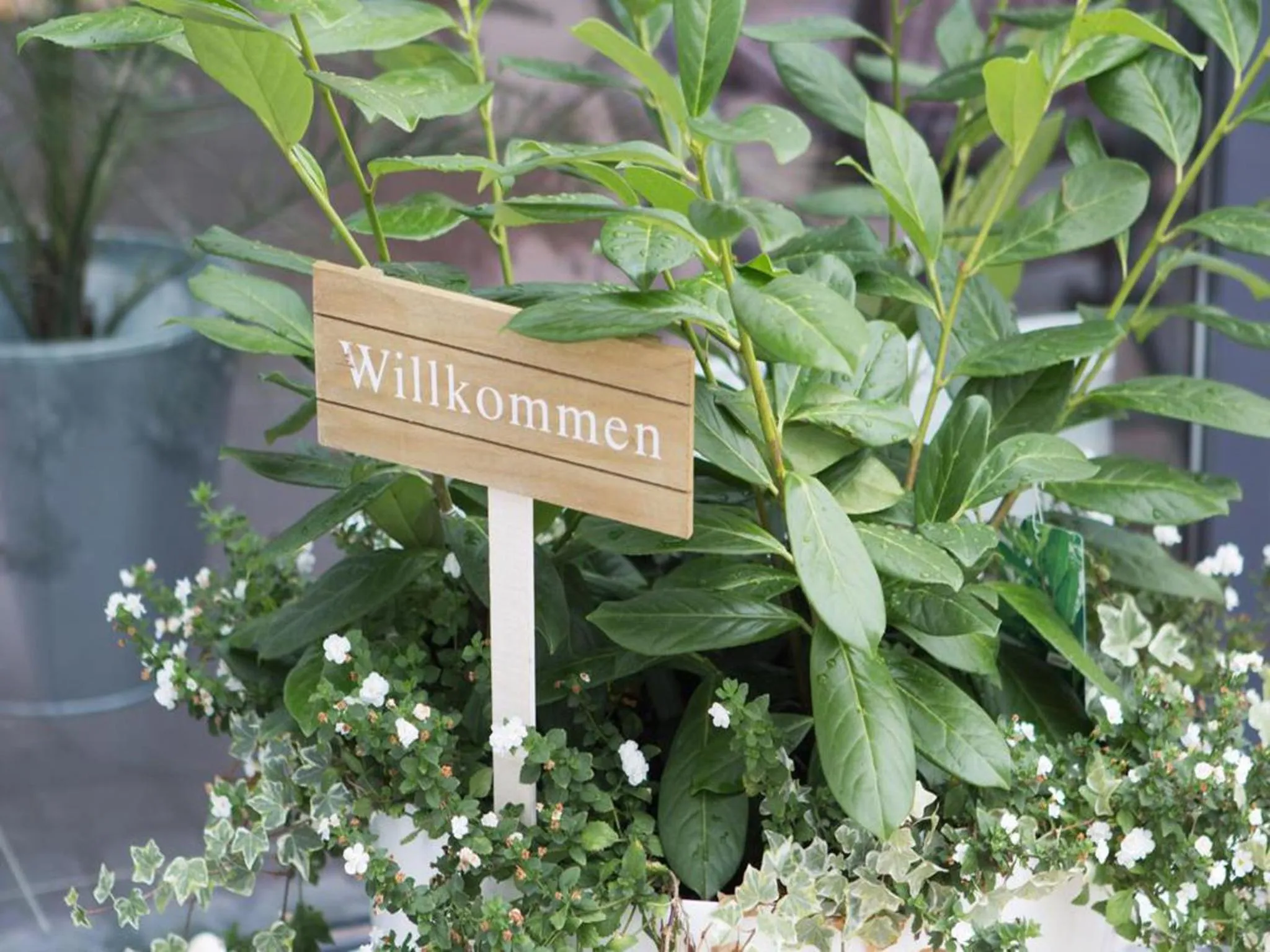 Certificate/Award in Hotel am Theater