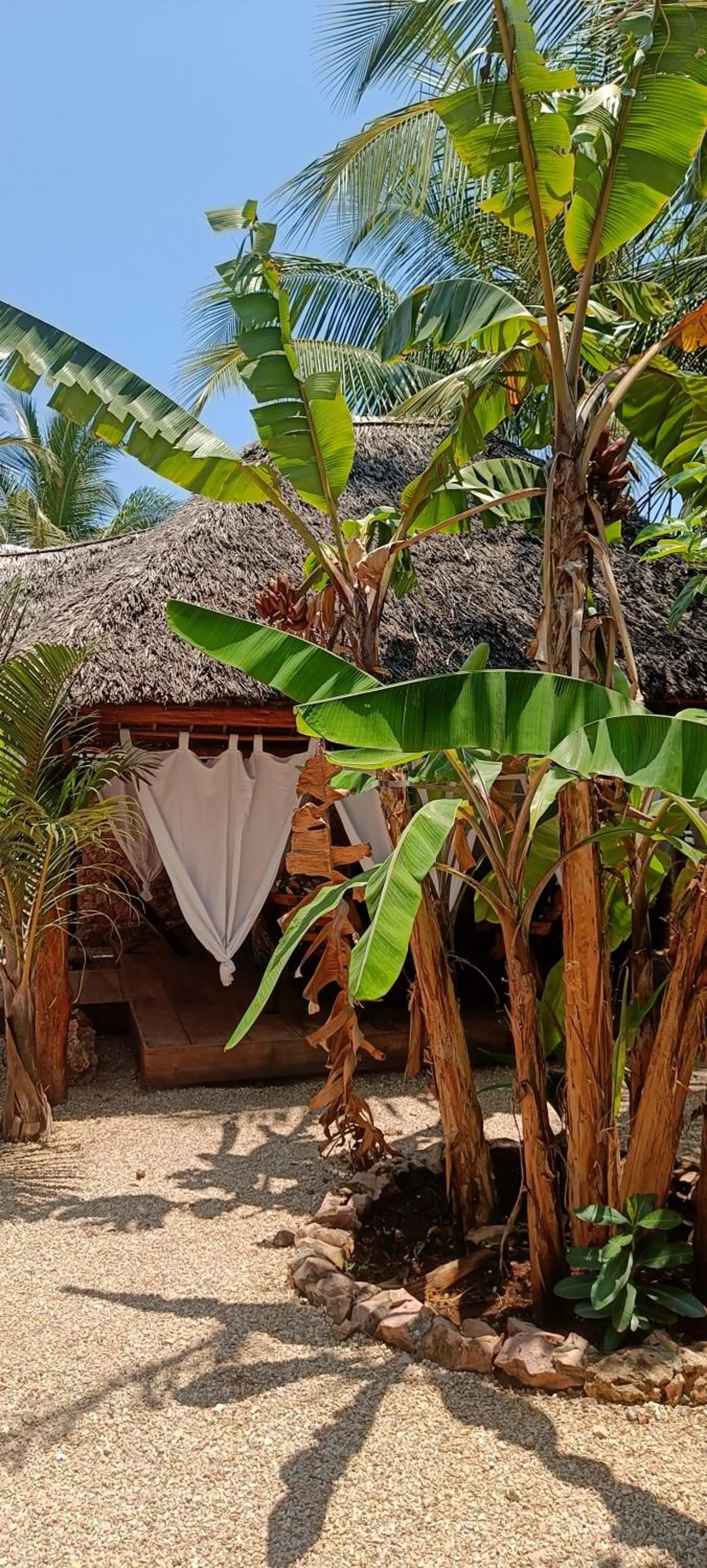 Lounge or bar in Little Pompeji Boutique Hotel - Adults Only