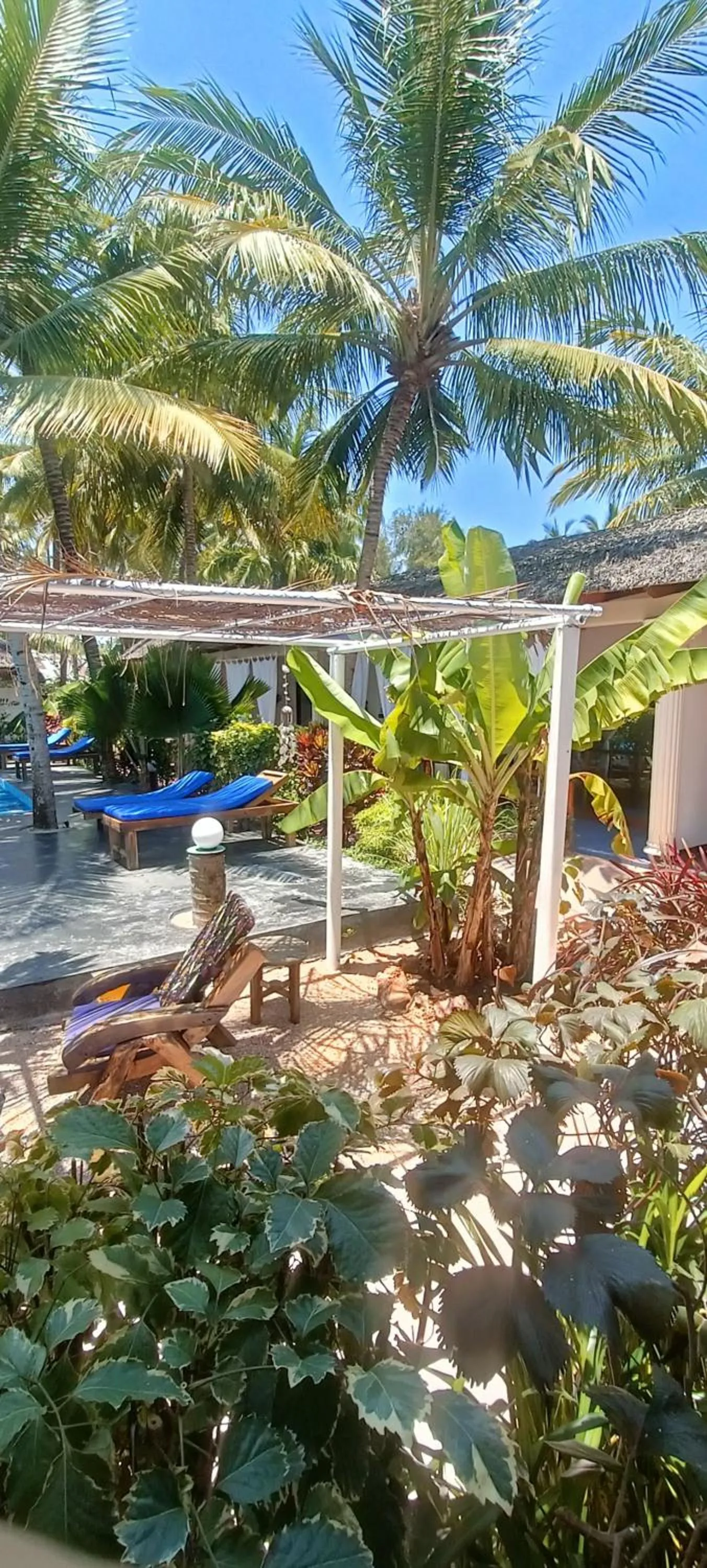 Garden view in Little Pompeji Boutique Hotel - Adults Only