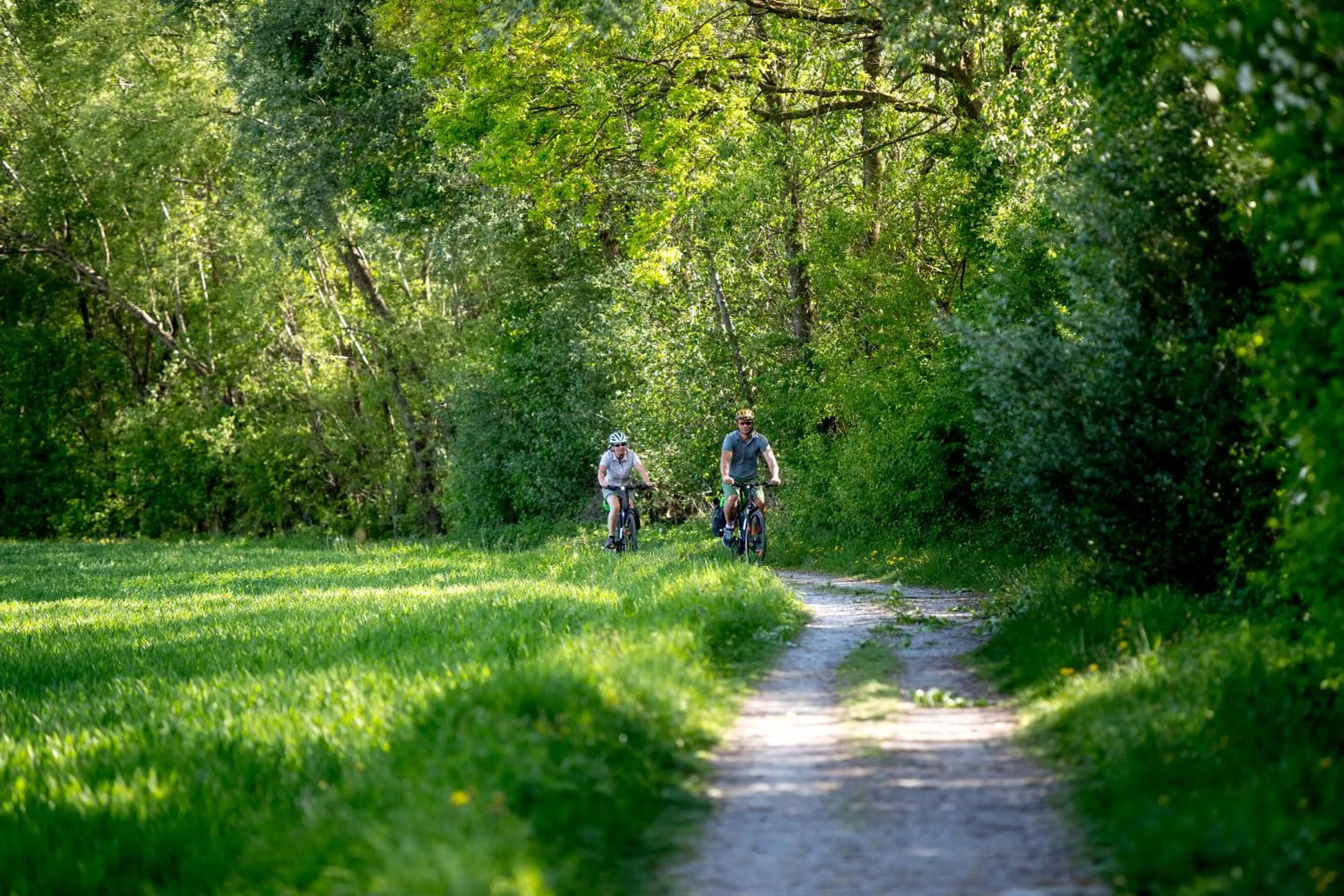 Cycling in Hotel Altneudörflerhof