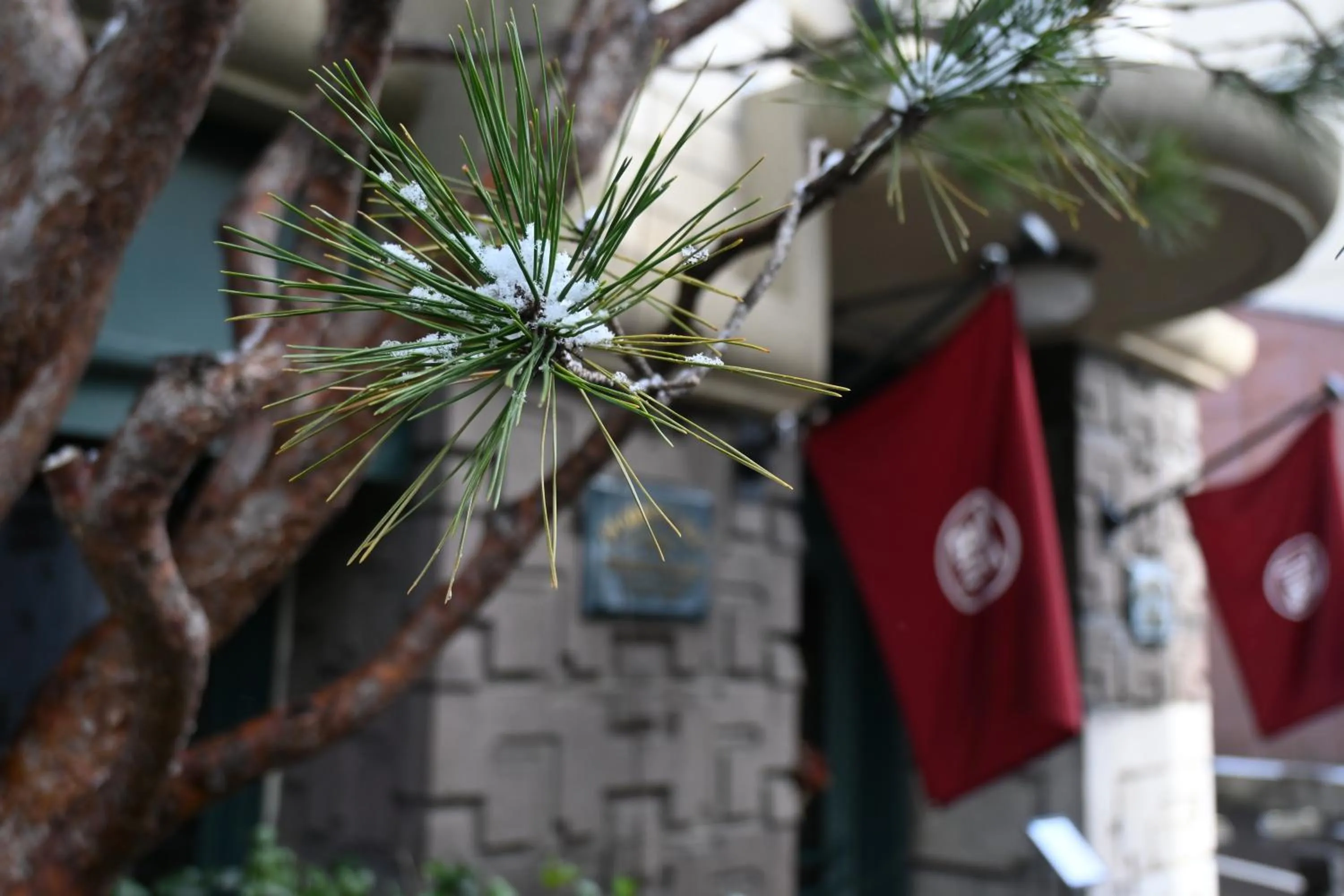 Activities in Marufukuro