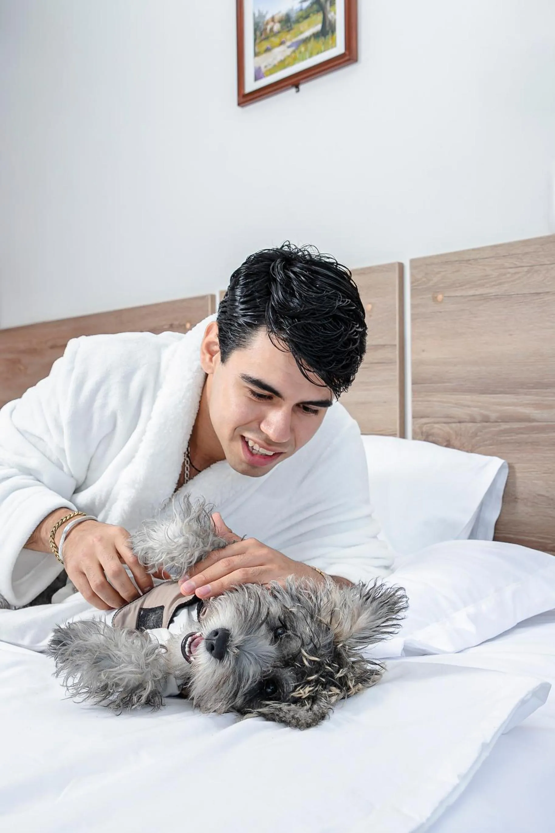 Pets, Bed in Hotel Santa Rosa