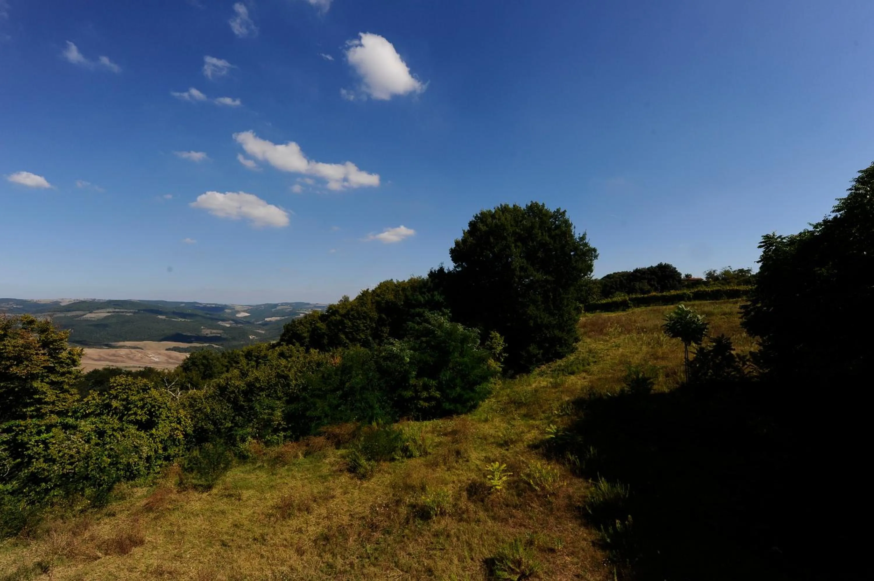 Natural landscape in Hotel Foresteria