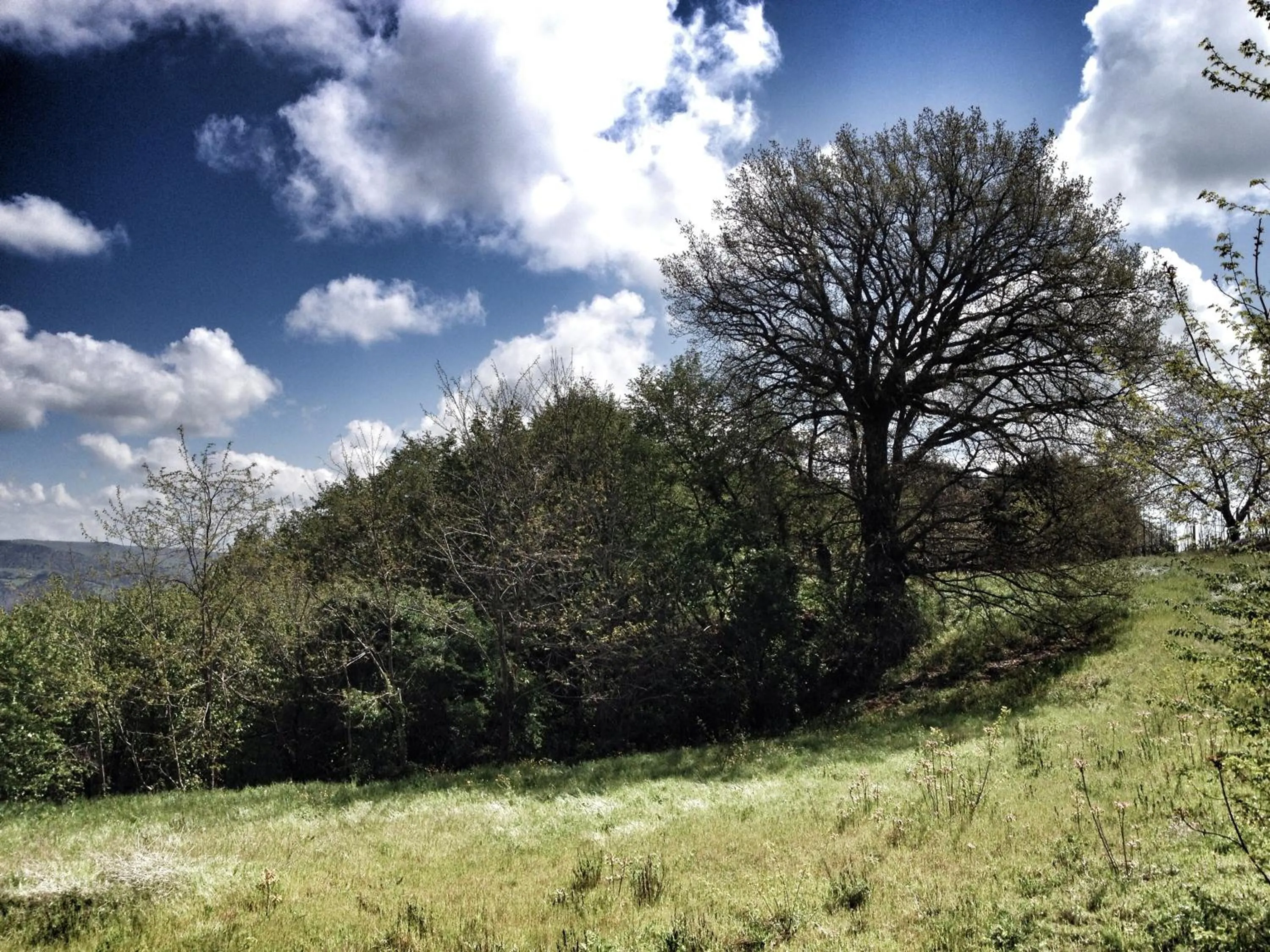 View (from property/room) in Hotel Foresteria
