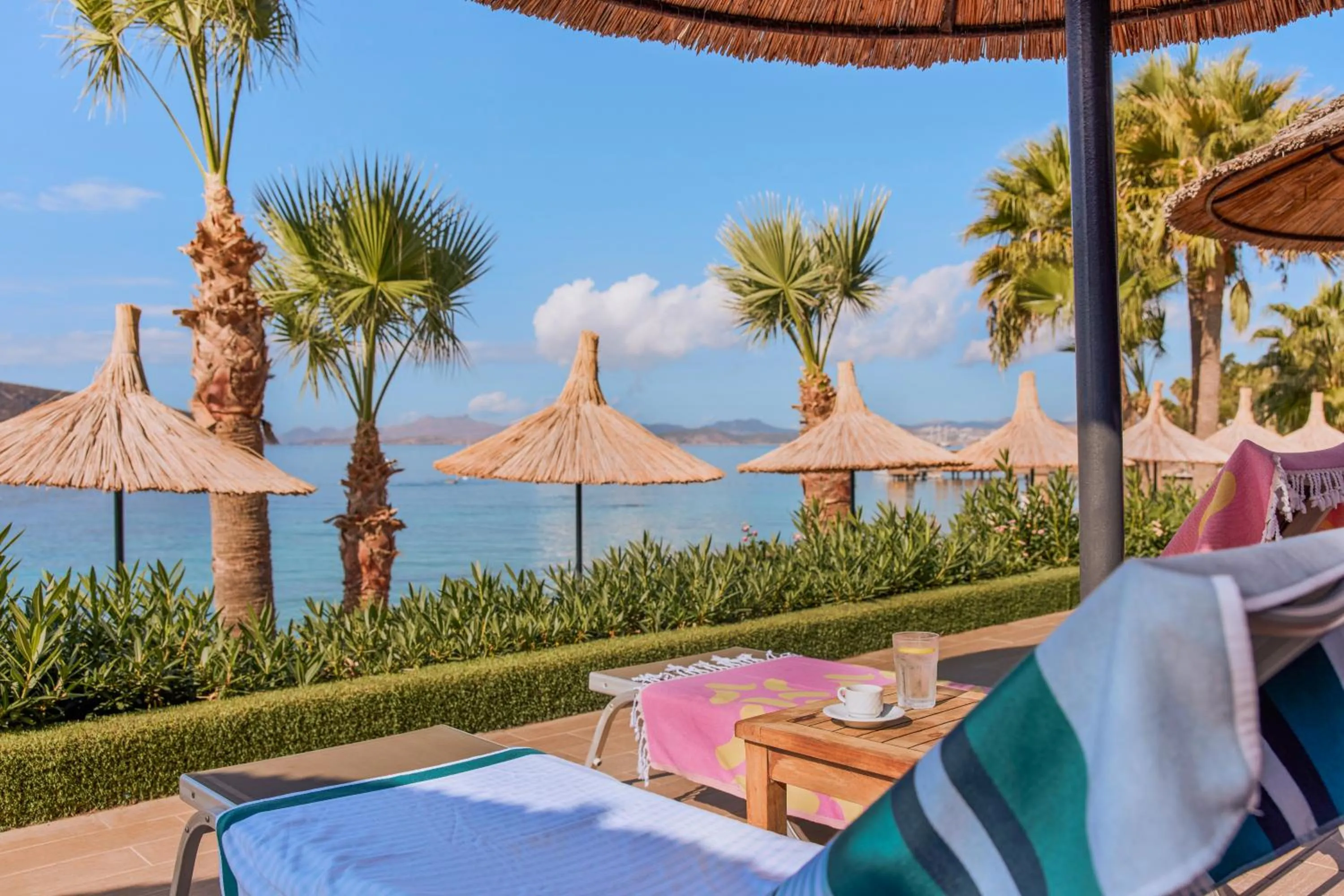 Spring in TUI MAGIC LIFE Bodrum - Adults Only