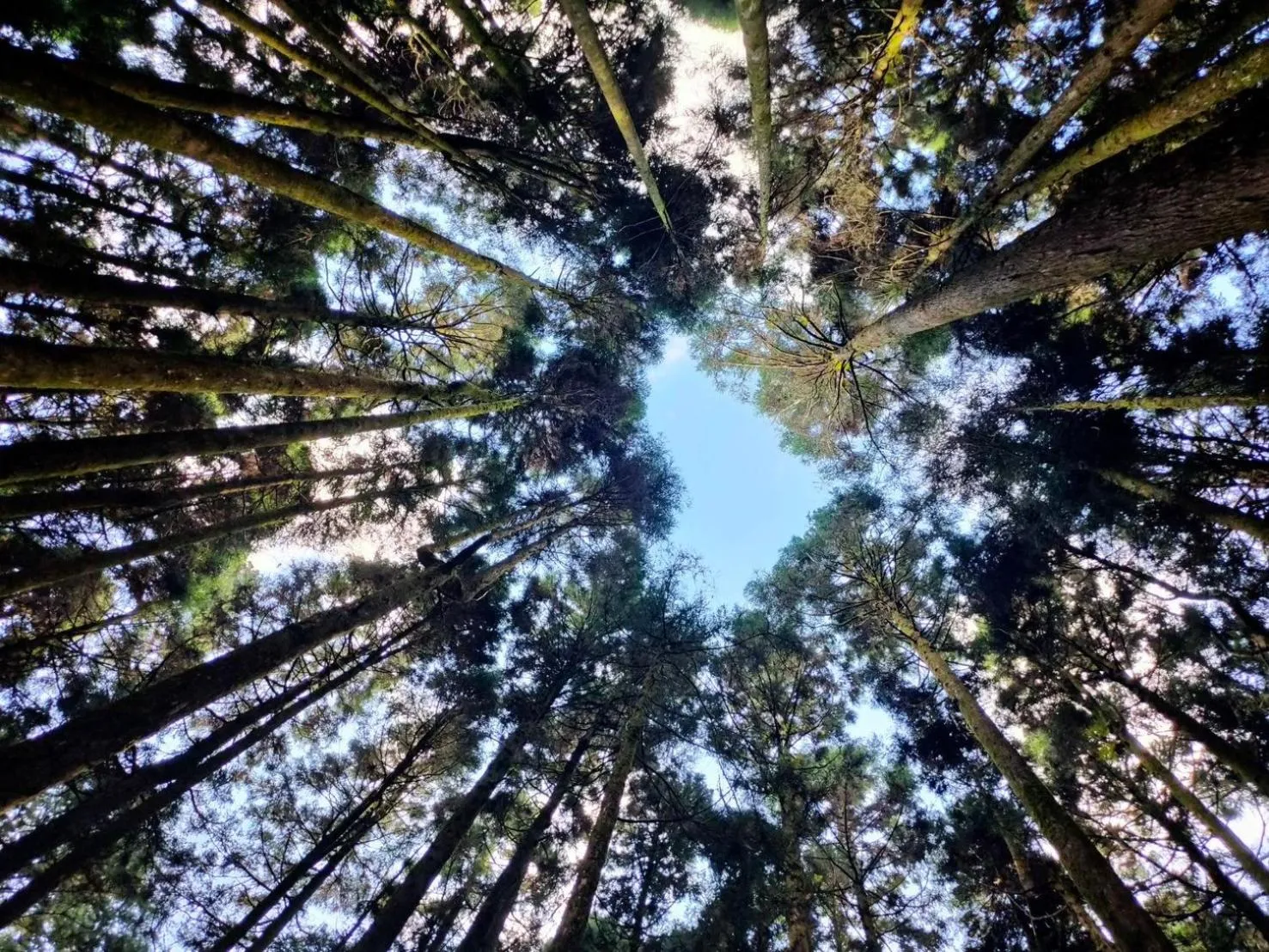 Landmark view in Dafong Hotel