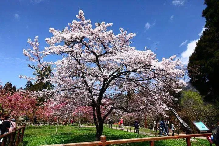 Other in Dafong Hotel