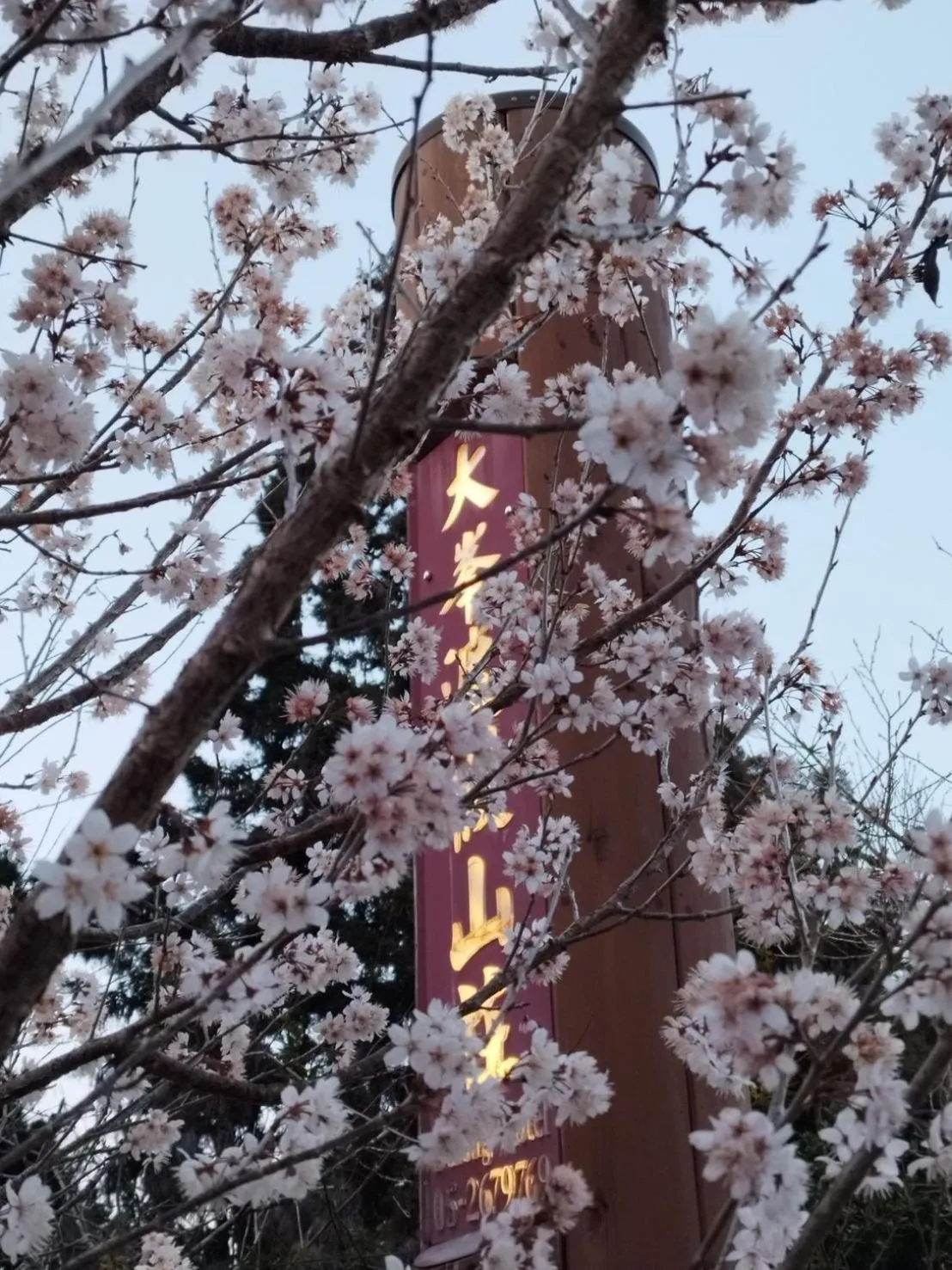 Spring in Dafong Hotel