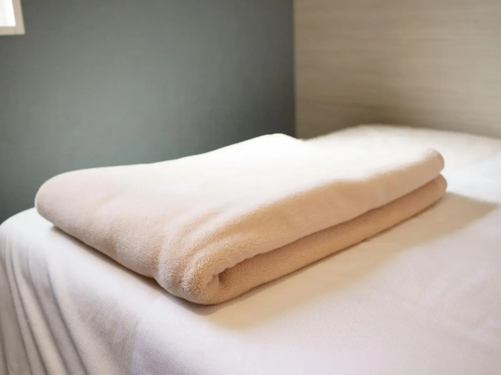 Hot Spring Bath, Bed in Super Hotel Hida Takayama Hot Spring Bath, Bed in Super Hotel Hida Takayama