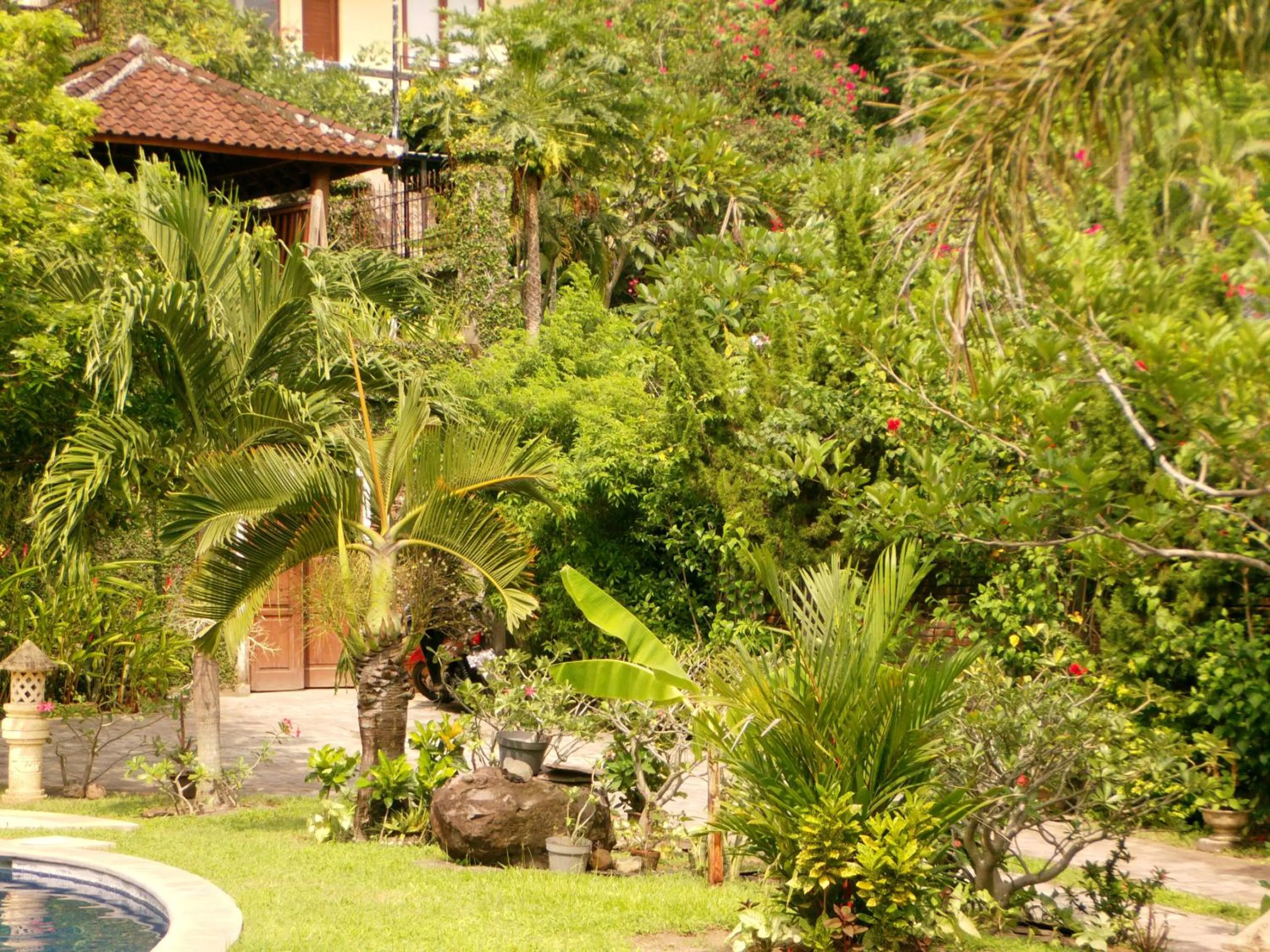 Garden in Sunset Villa