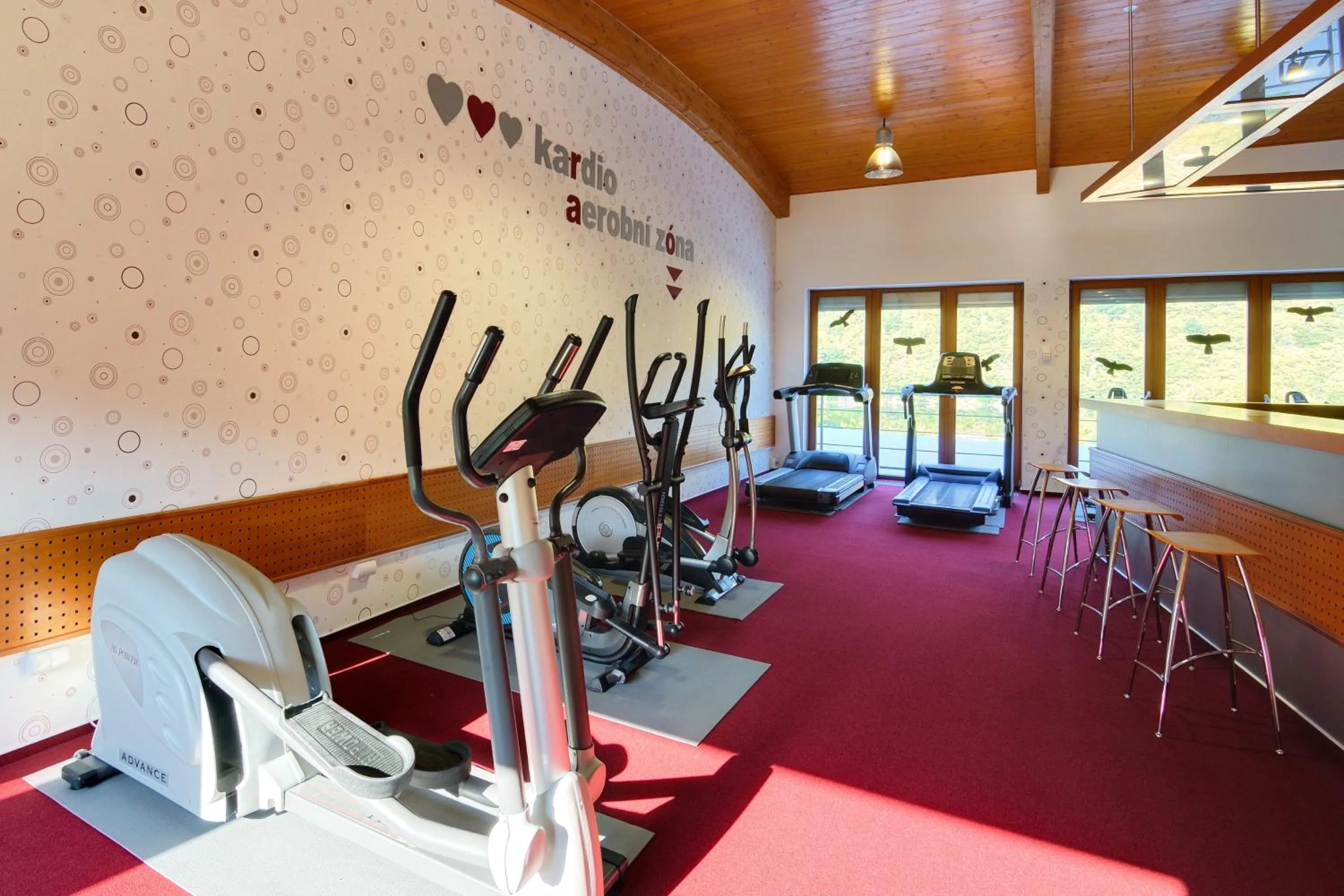 Fitness centre/facilities in Hotel VZ Měřín