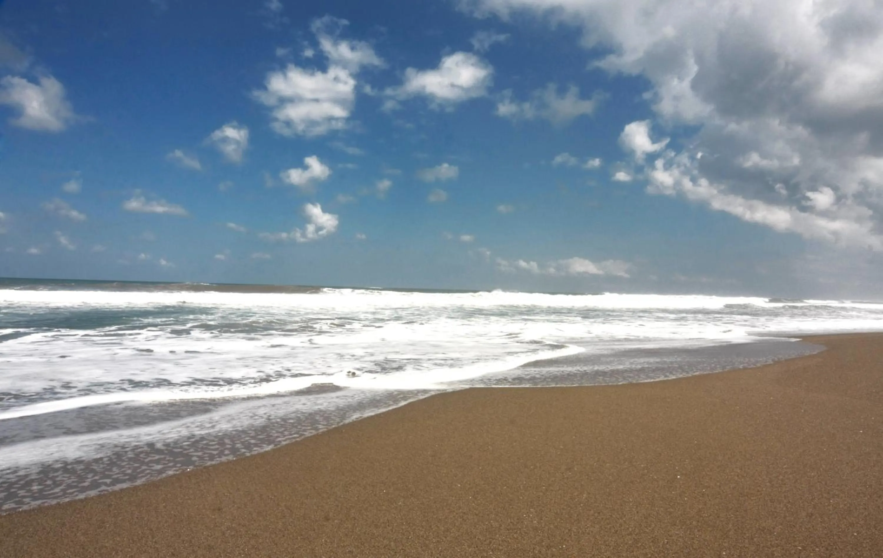 Area and facilities in Villa Savannah