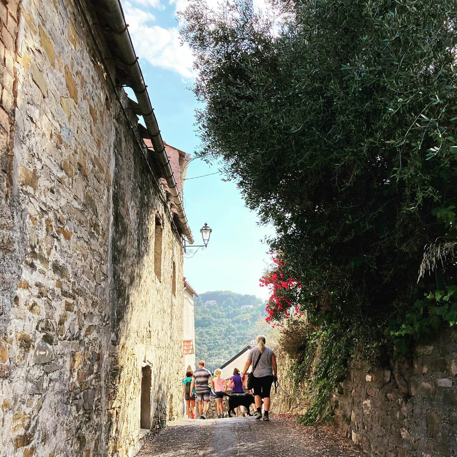 Hiking in Hotel Caravelle Thalasso & Wellness