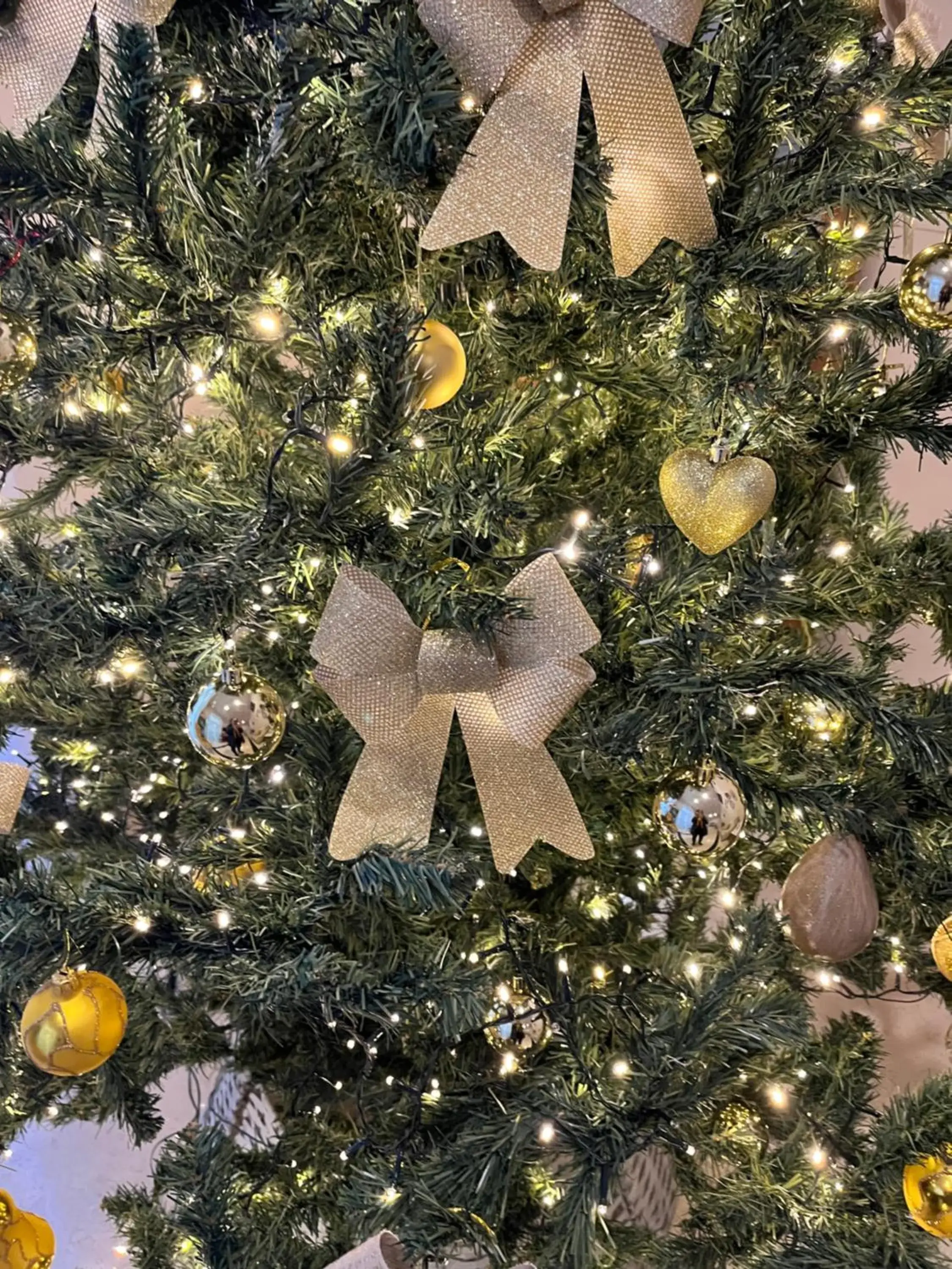 Hotel De Rosa Hotel De Rosa