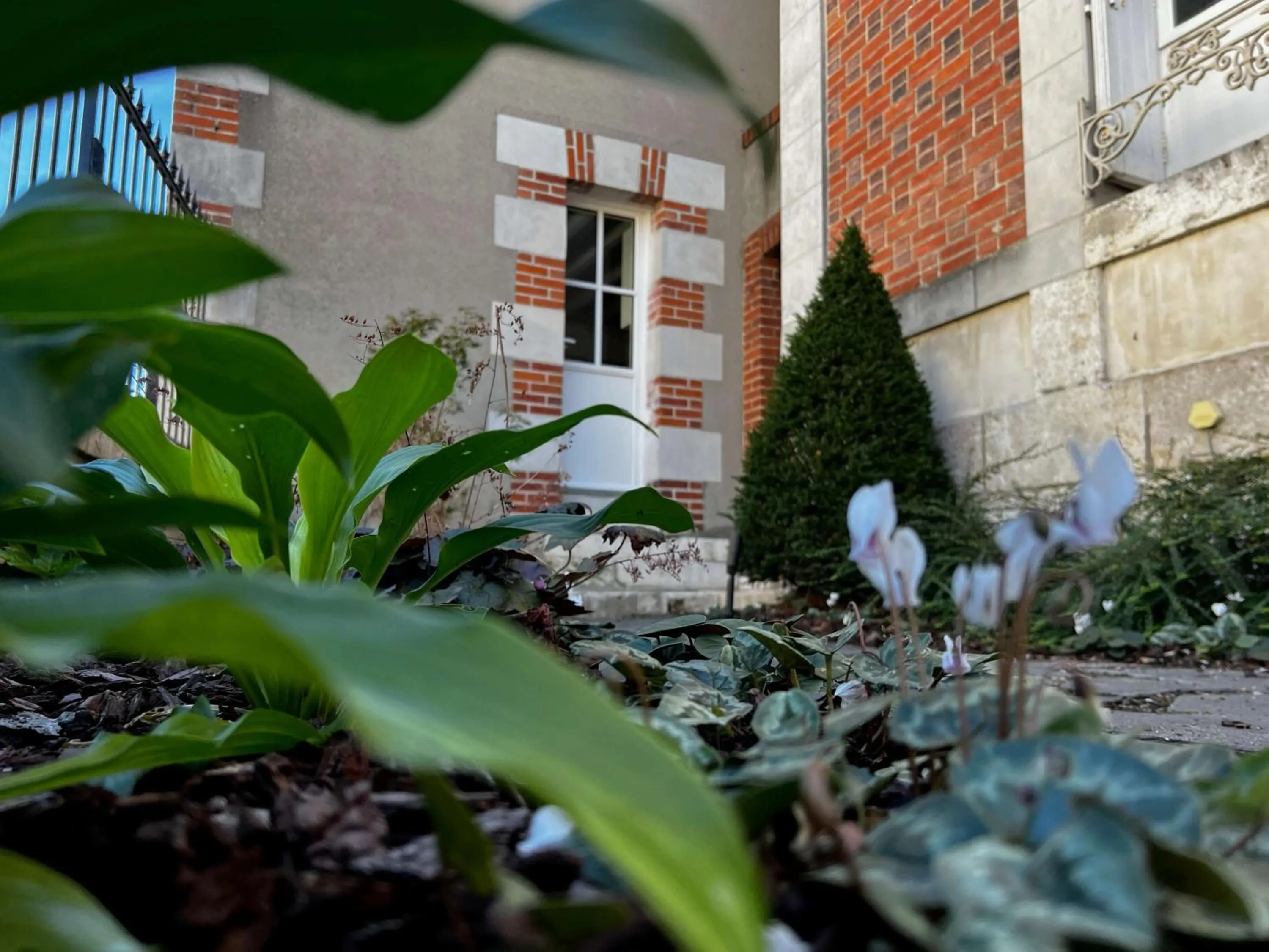 Property building in Maison Loire