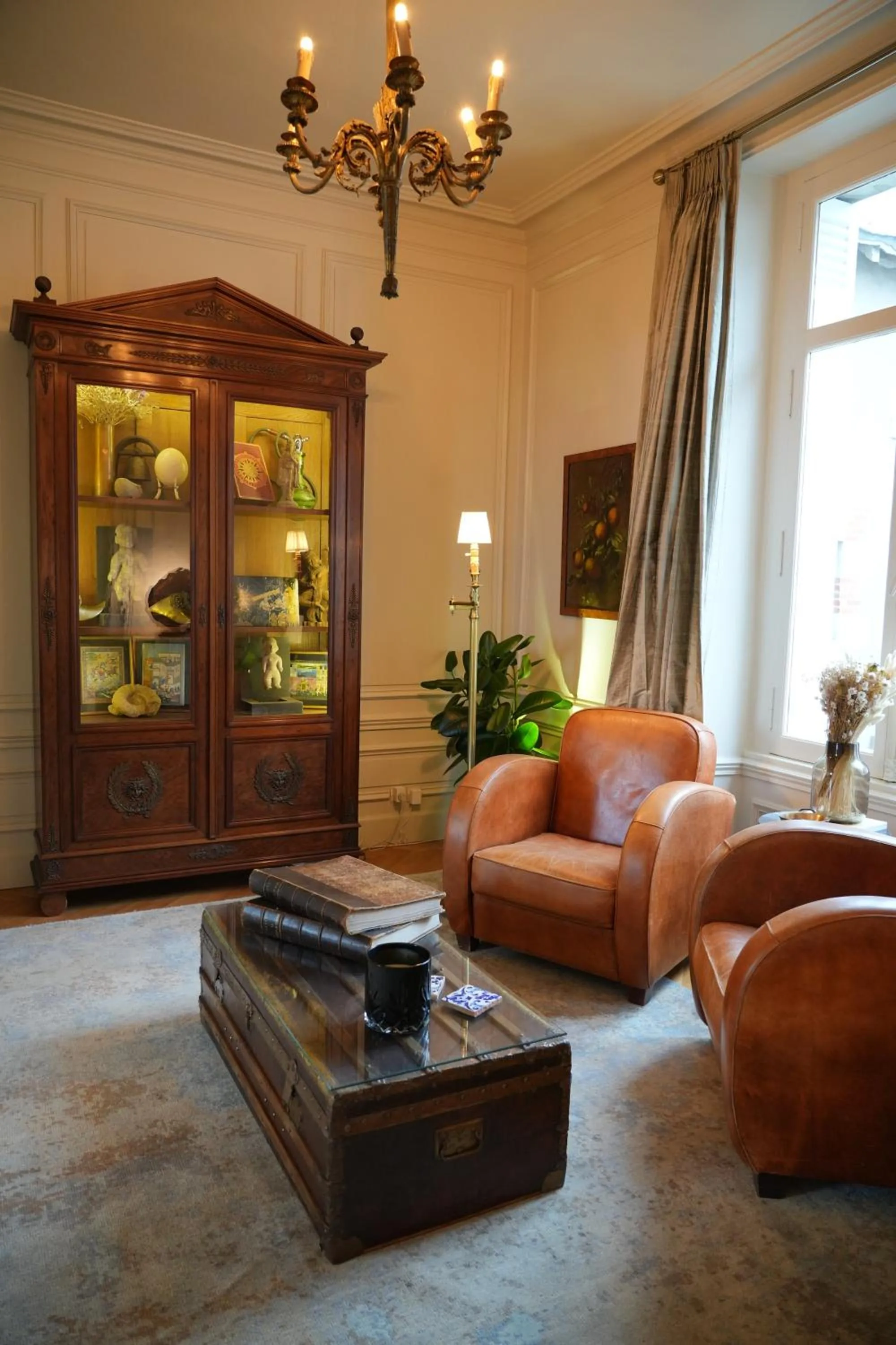 Library in Maison Loire
