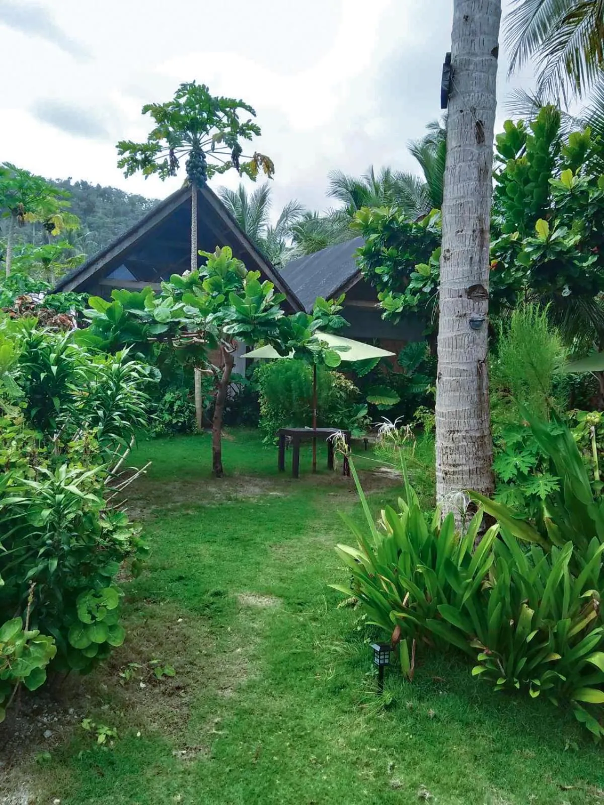 Coleto Siargao
