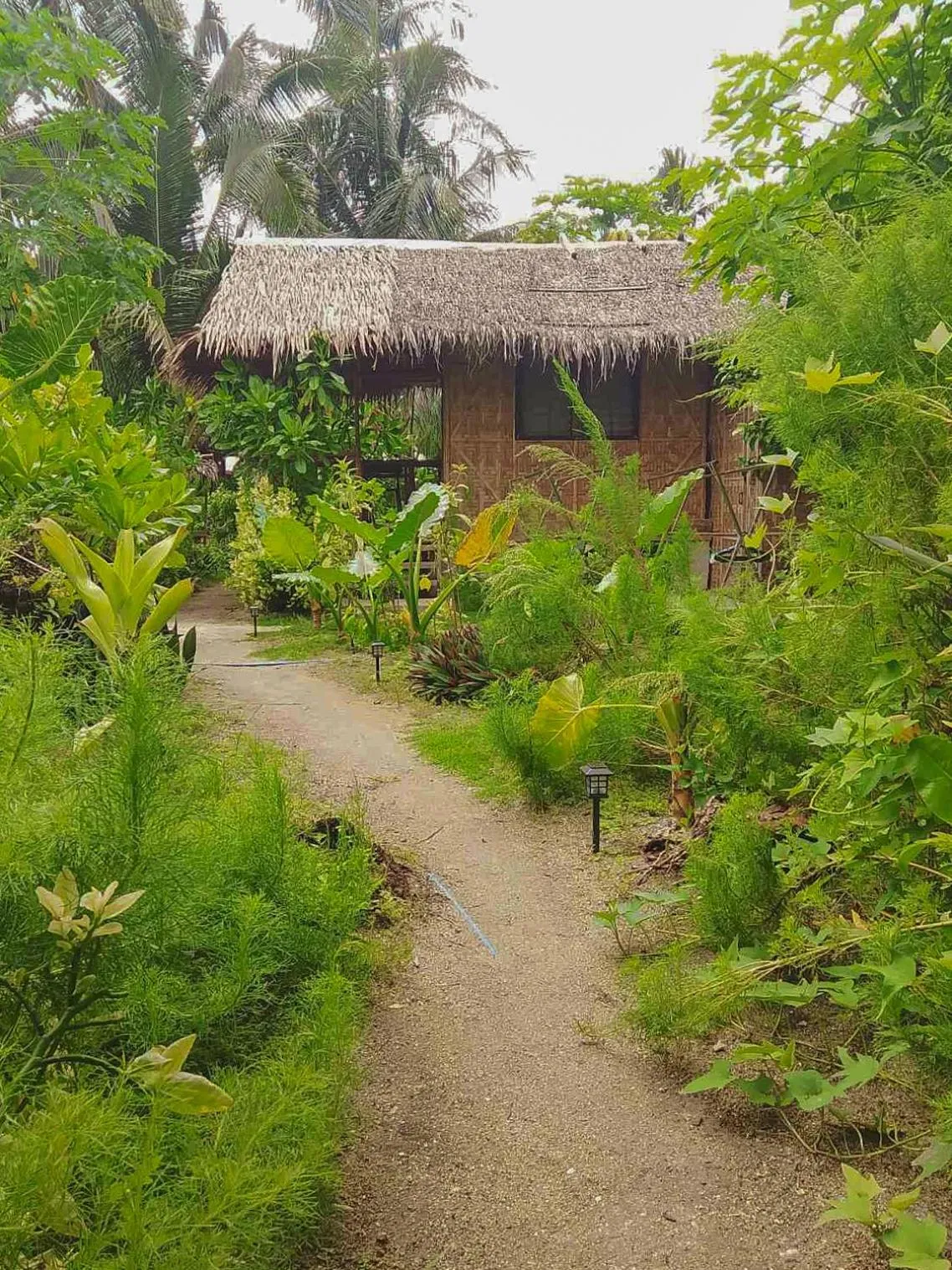Coleto Siargao