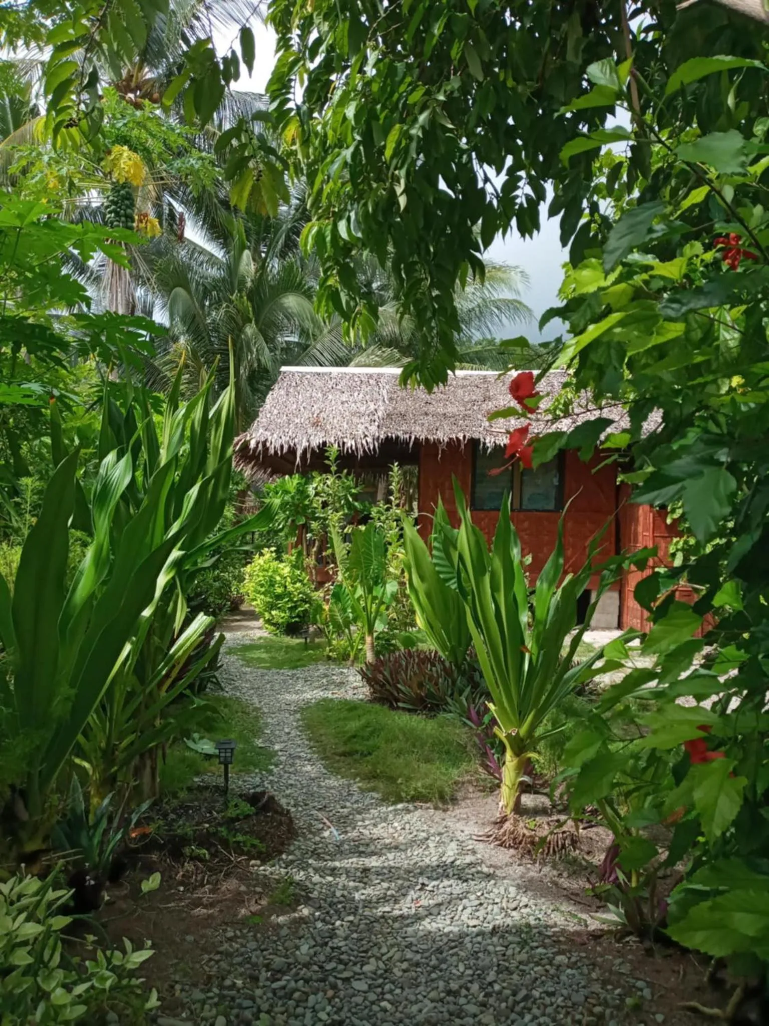 Coleto Siargao