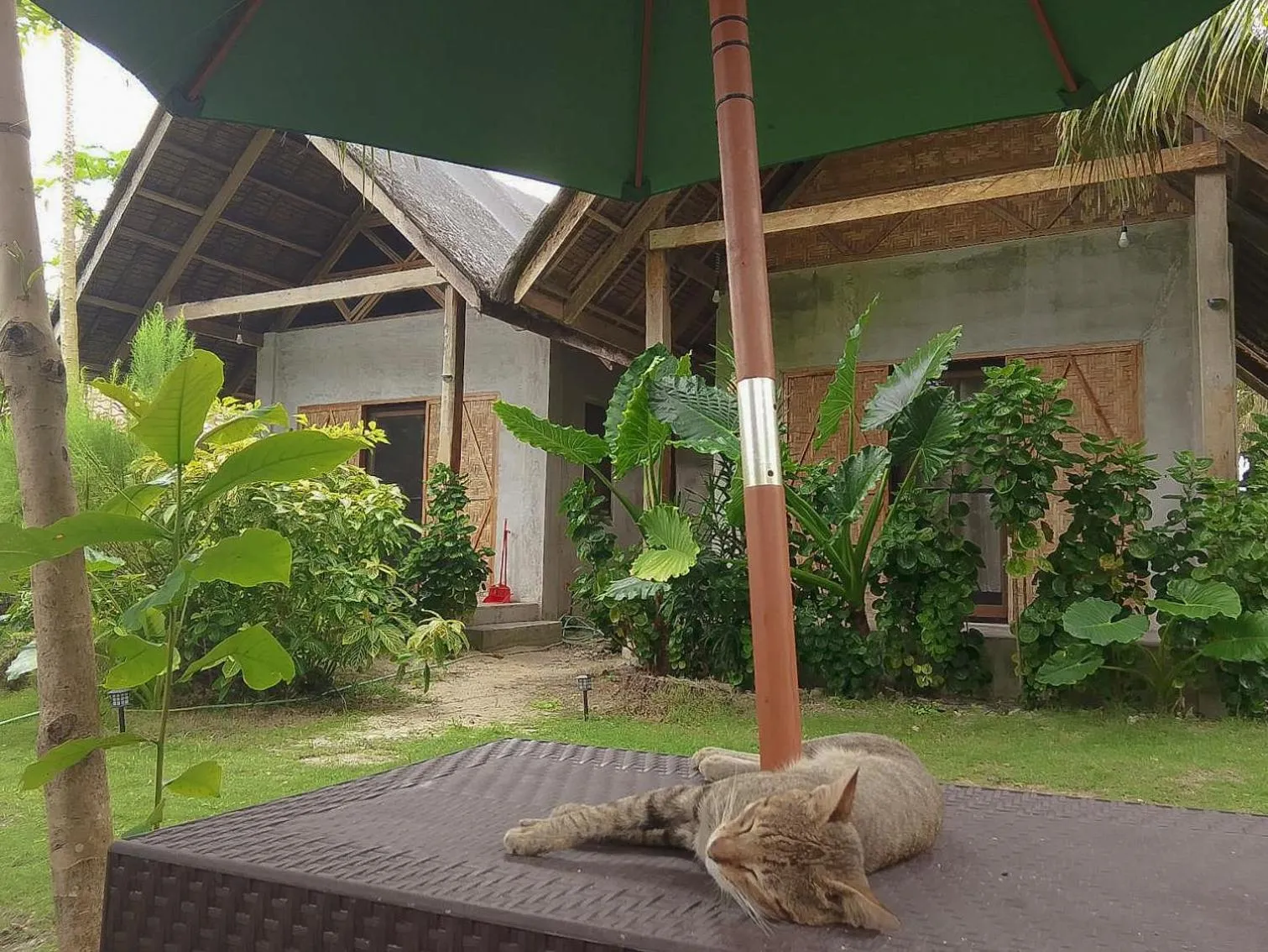 Coleto Siargao