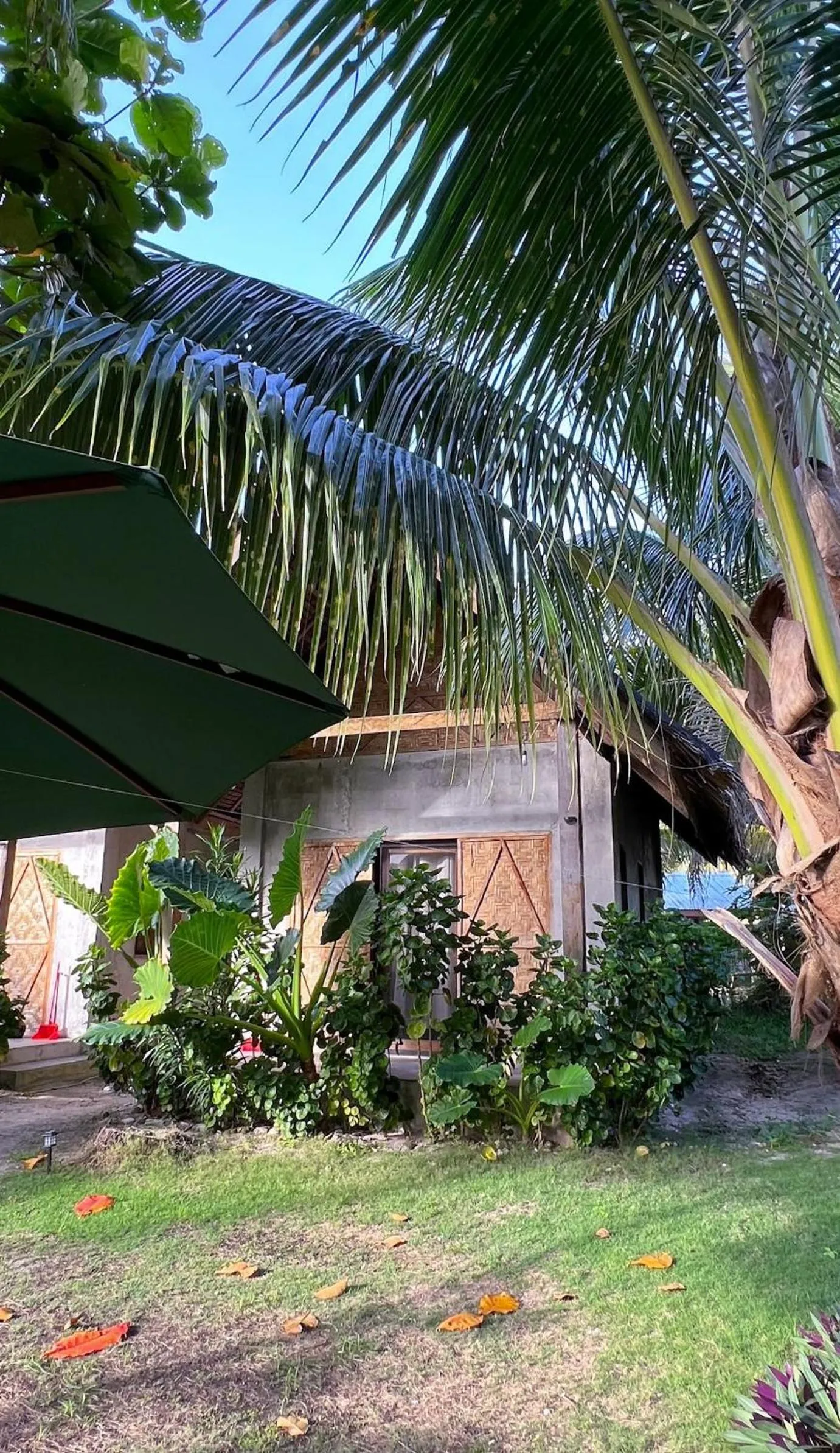 Coleto Siargao