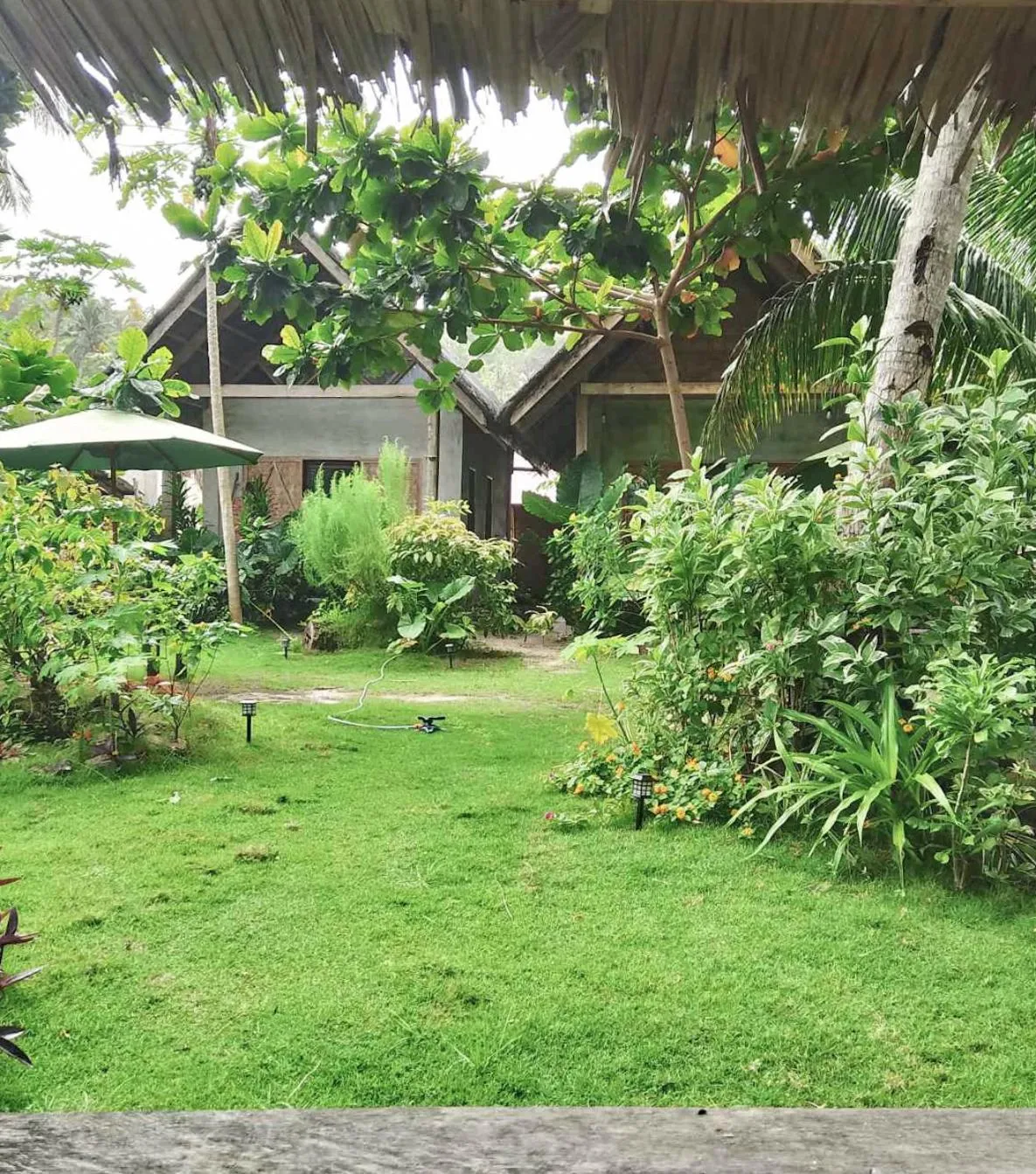 Coleto Siargao