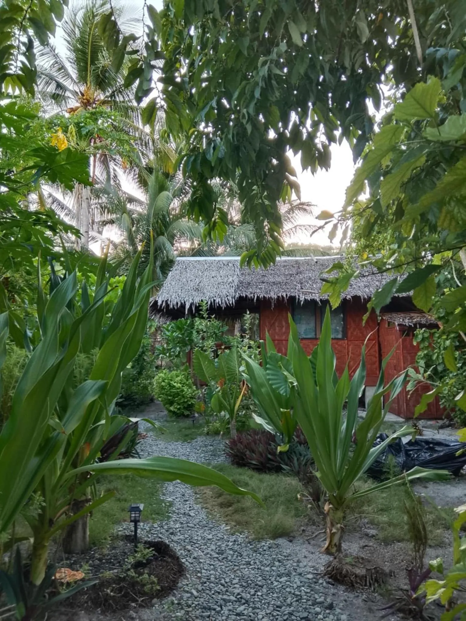 Coleto Siargao