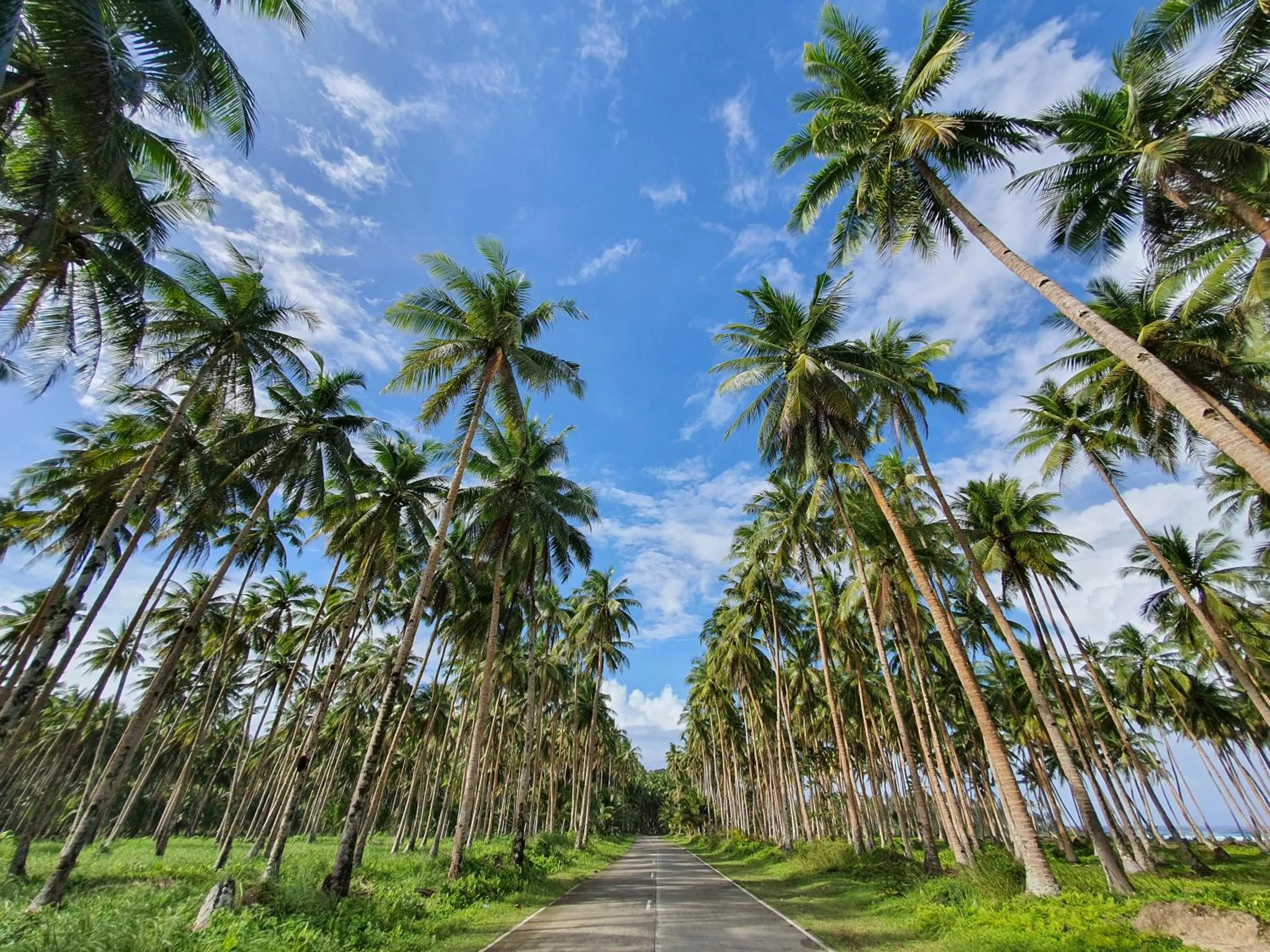 Activities in Coleto Siargao