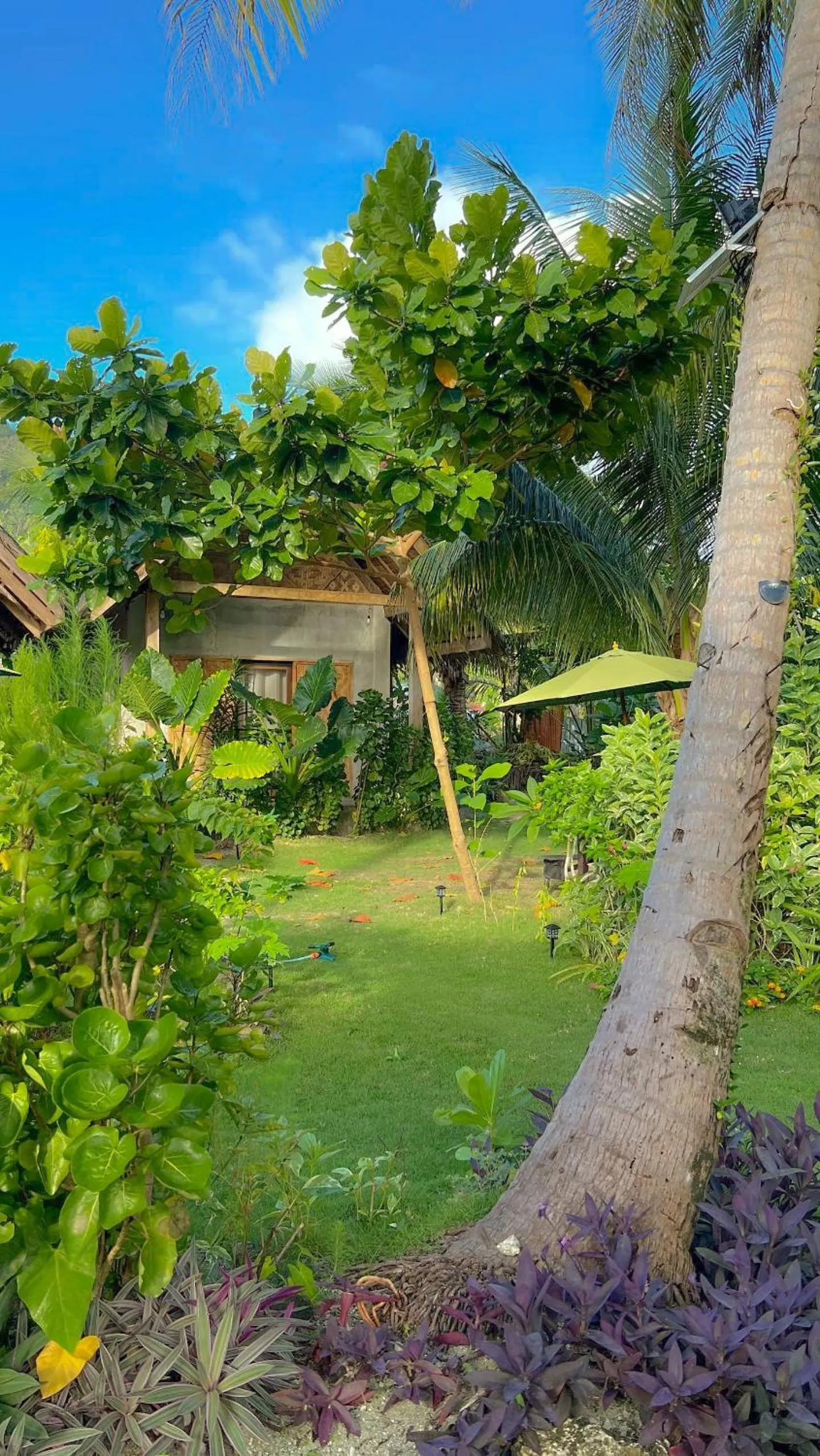 Coleto Siargao