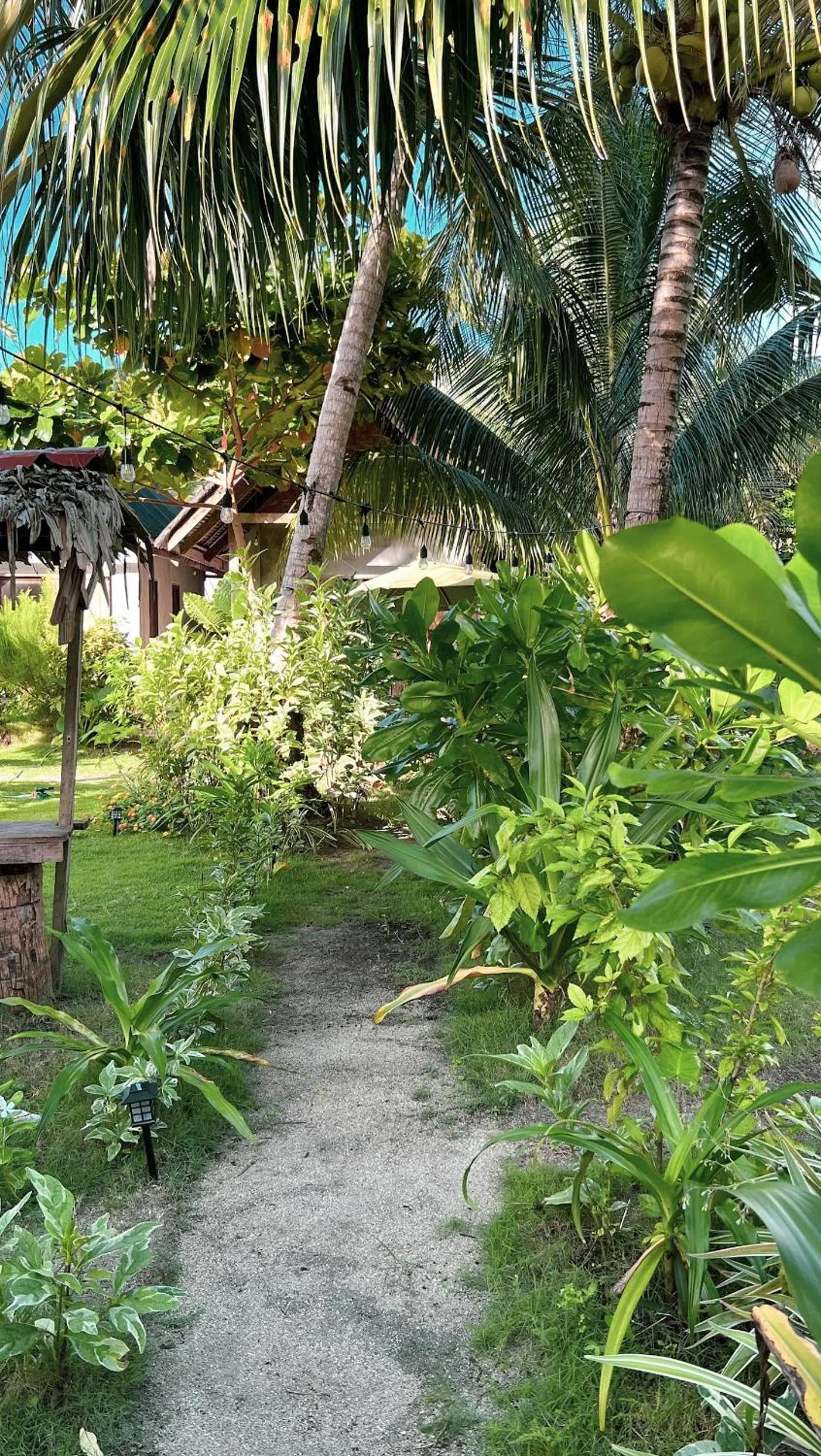 Coleto Siargao