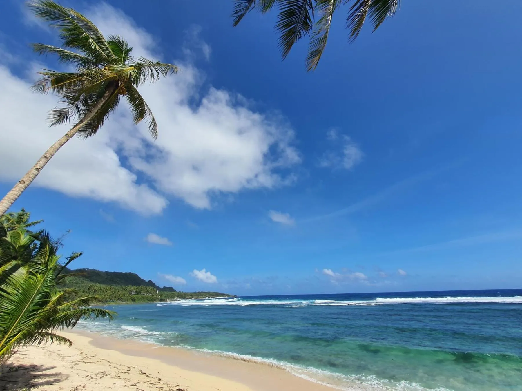 Coleto Siargao