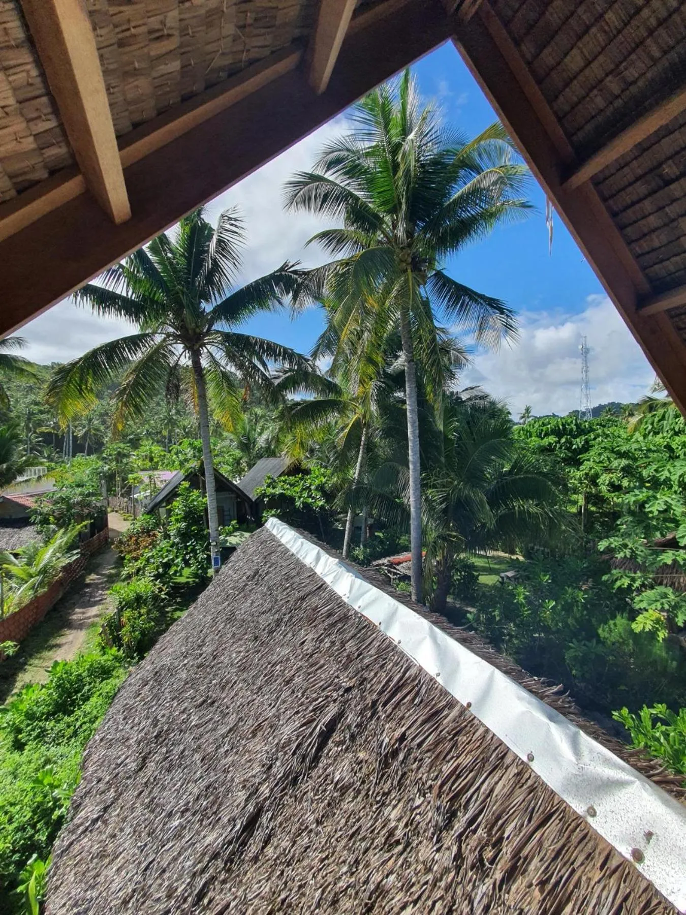 Coleto Siargao