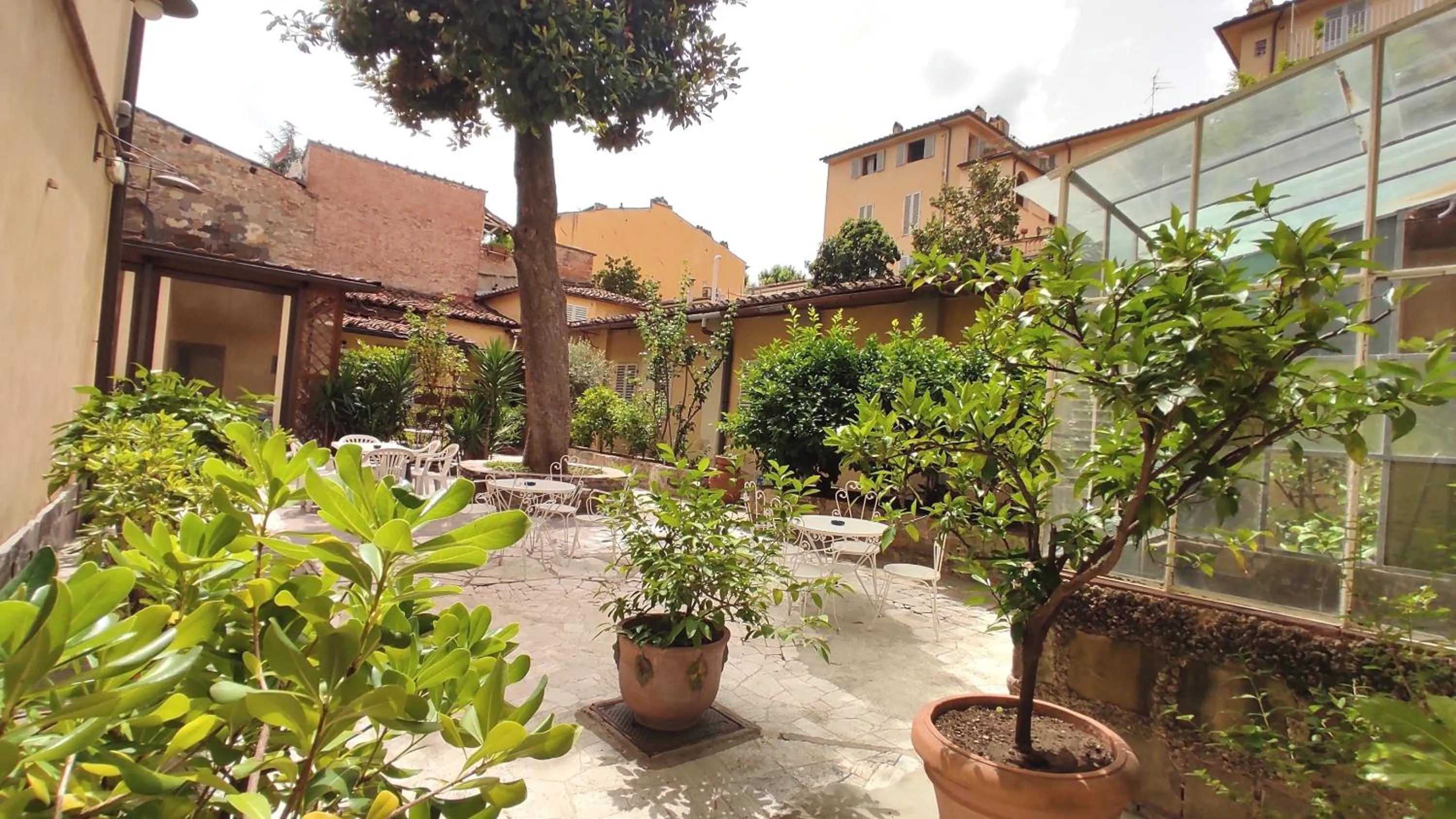 Garden in Hotel Rita Major