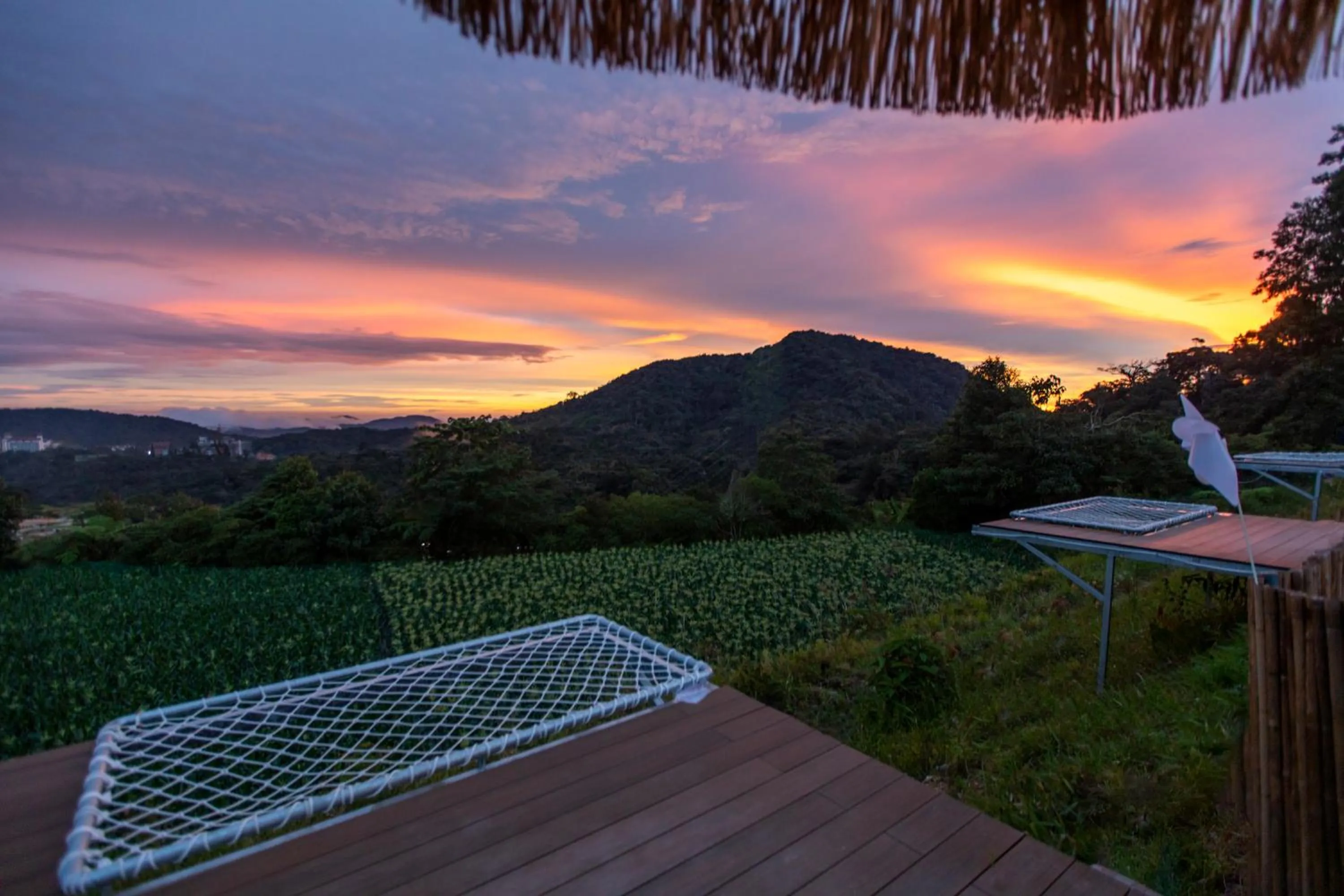 View (from property/room) in Stellar GoldenHill Cameron