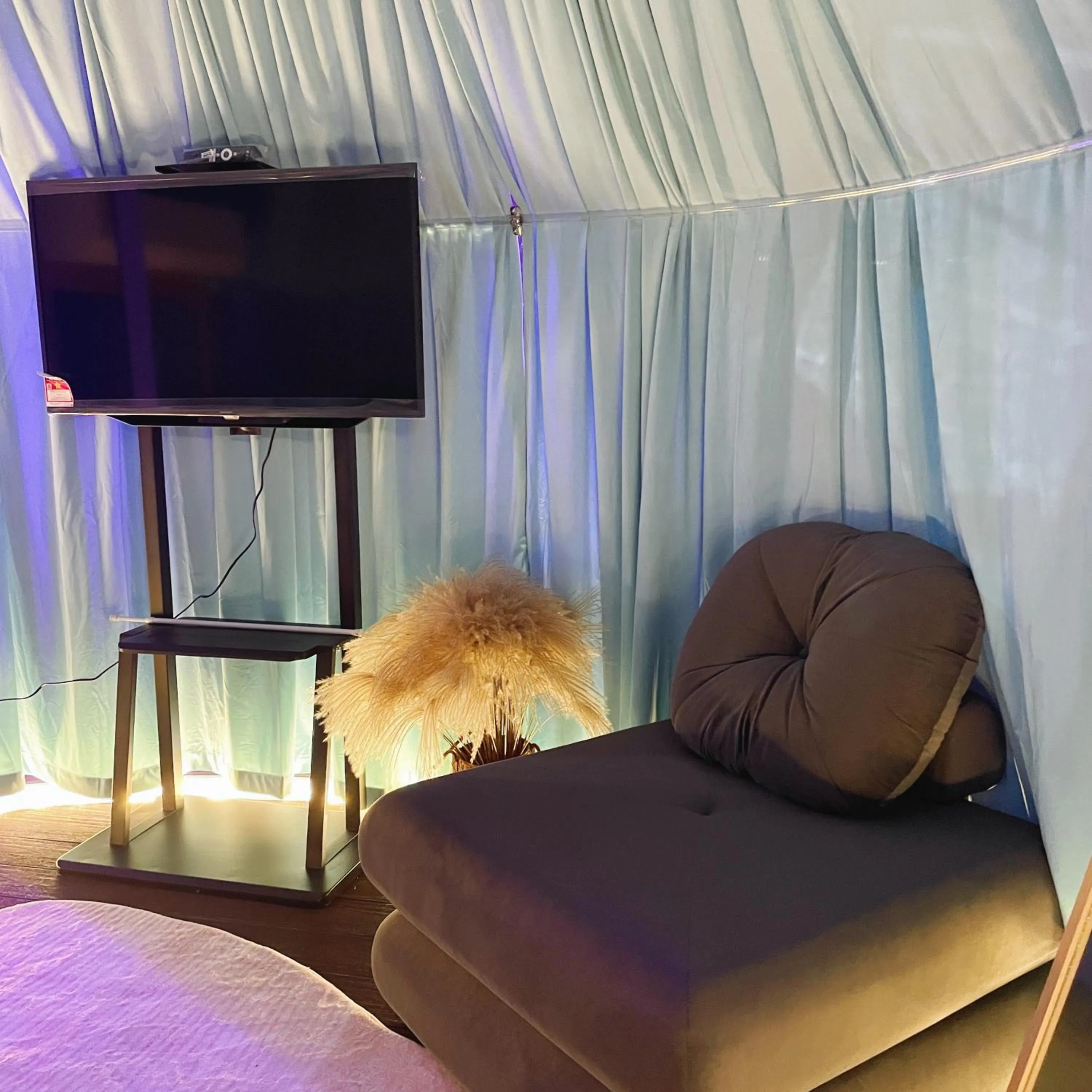 Stellar GoldenHill Cameron