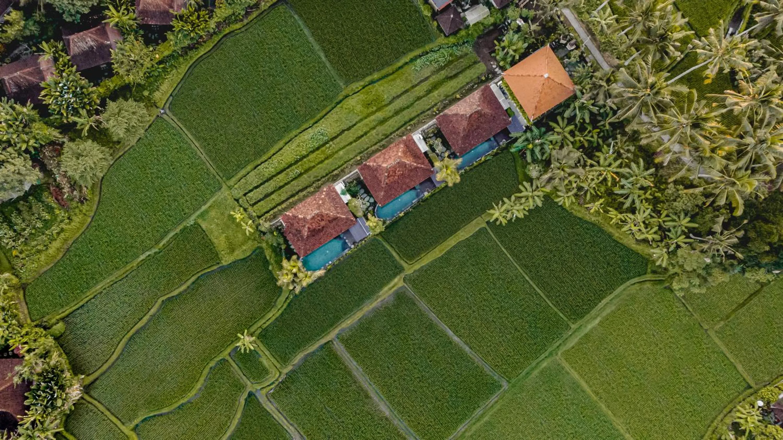 Property building in Airsania Ubud Antique Villas