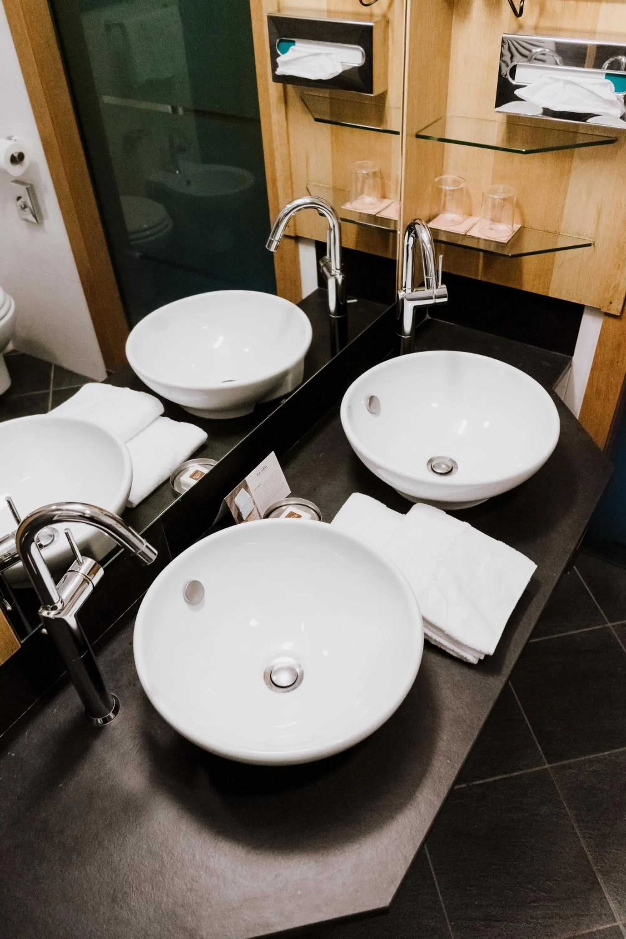 Bathroom in Hotel Lac Salin Spa & Mountain Resort