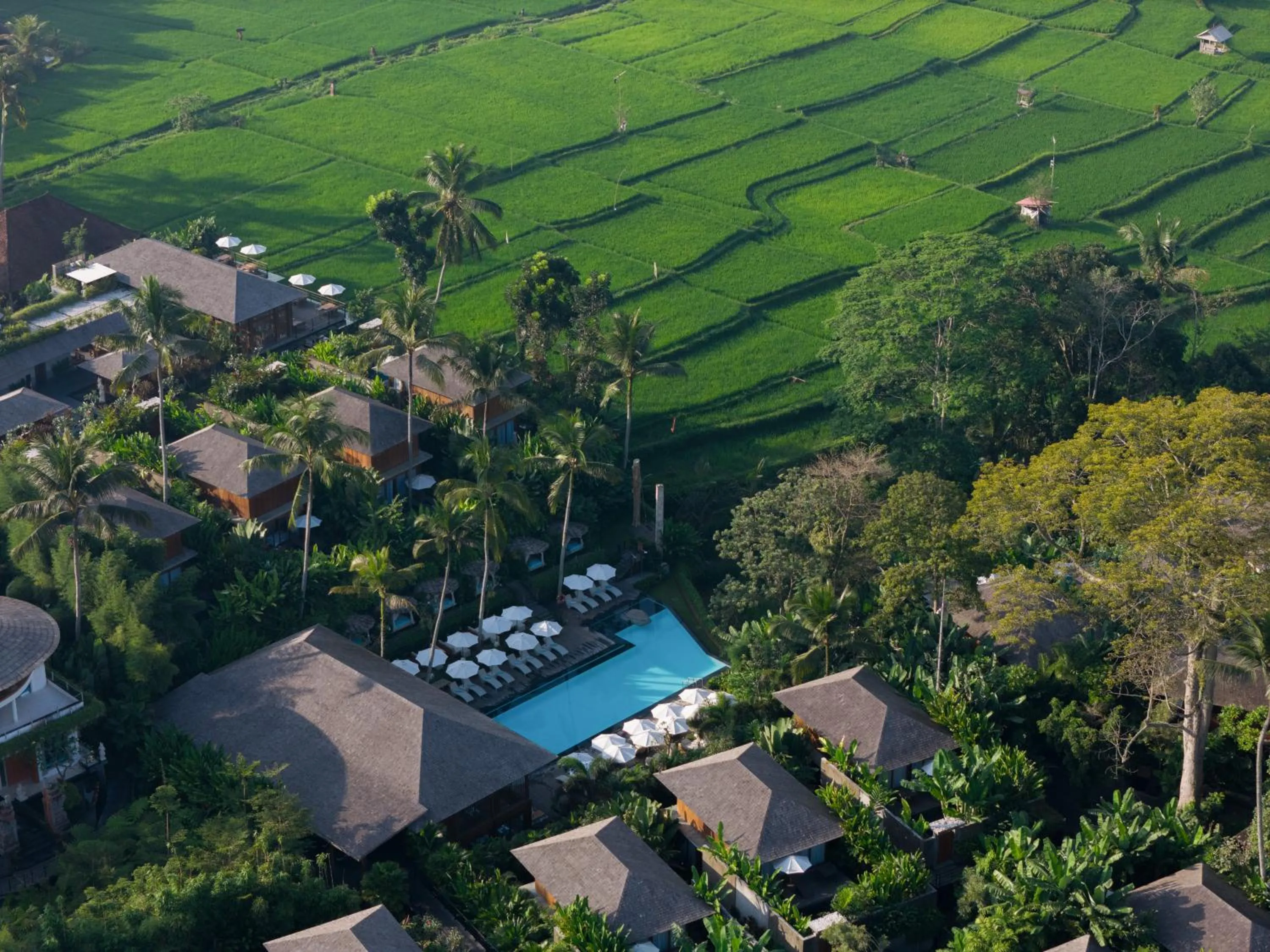 View (from property/room) in Kappa Senses Ubud